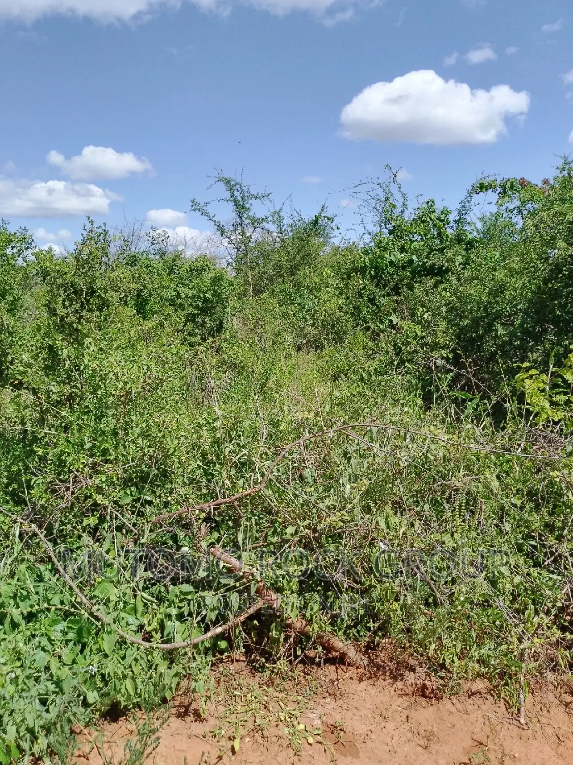 31acres for Sale in Mutomo