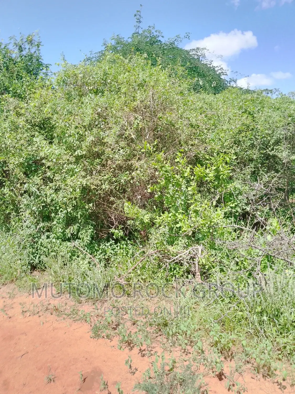 31acres for Sale in Mutomo