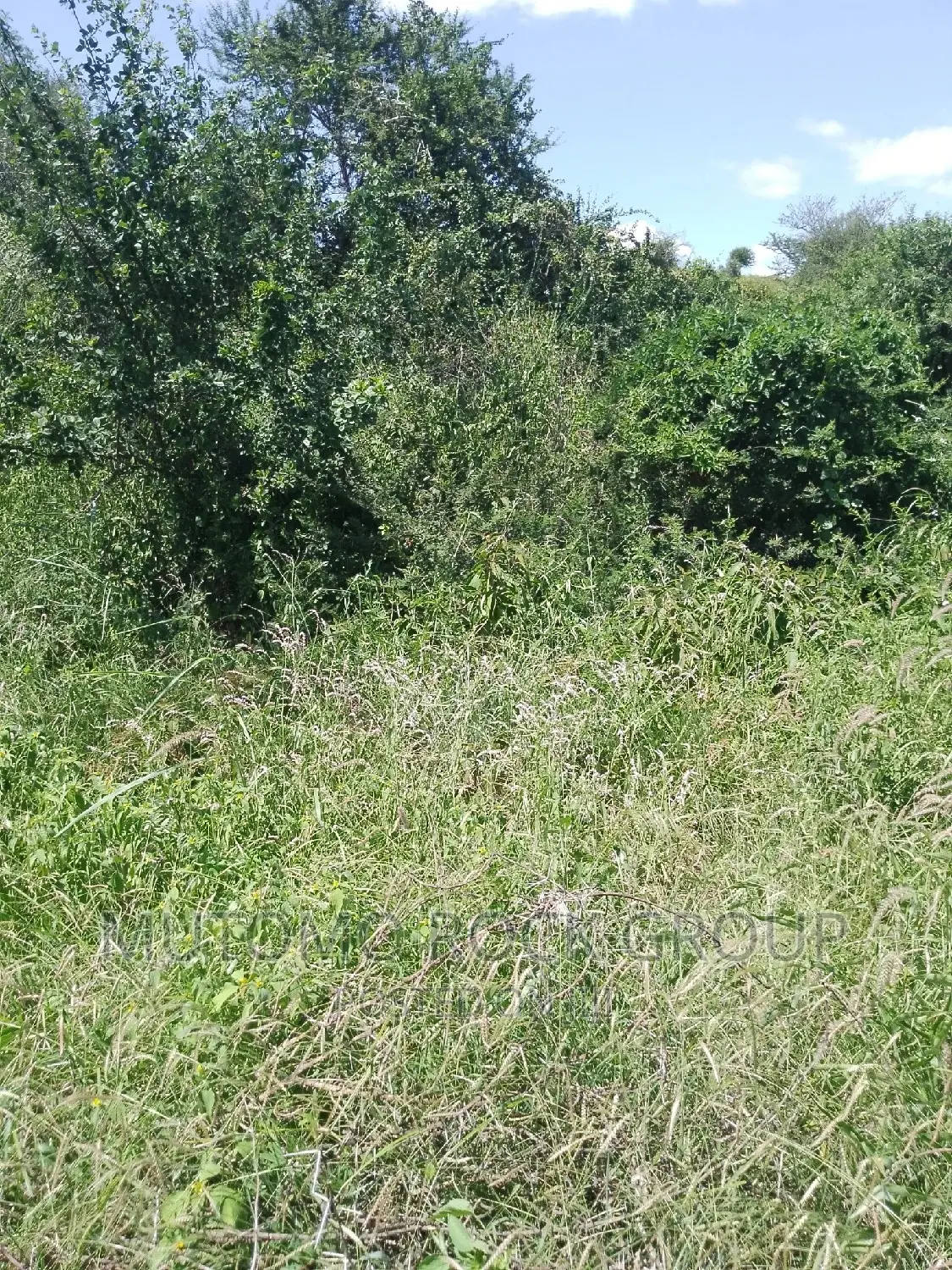 31acres for Sale in Mutomo