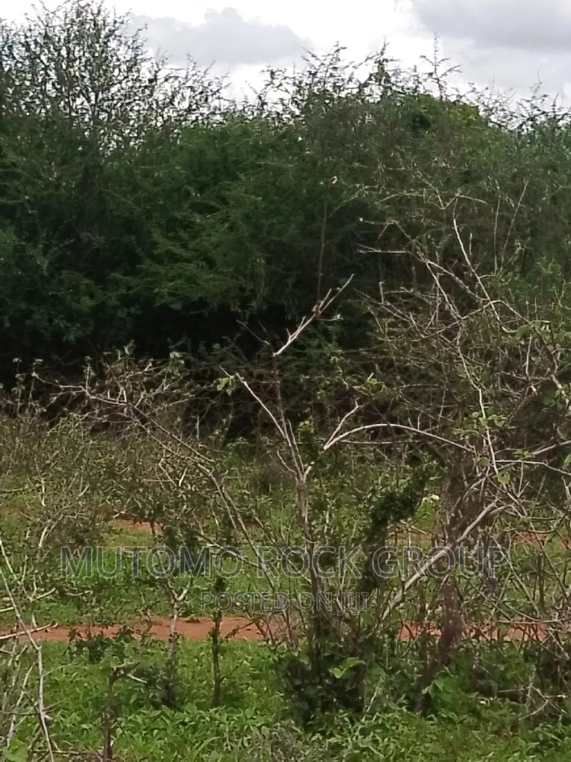 198acres Land For Sale With Title Deed in Mutomo