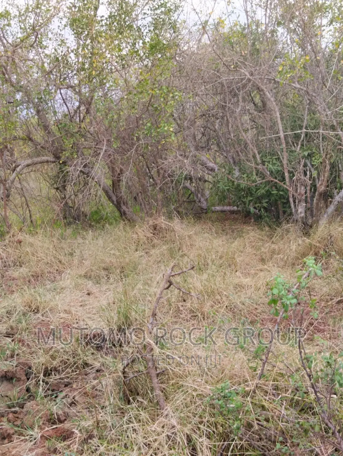 32acres for Sale in Mutomo