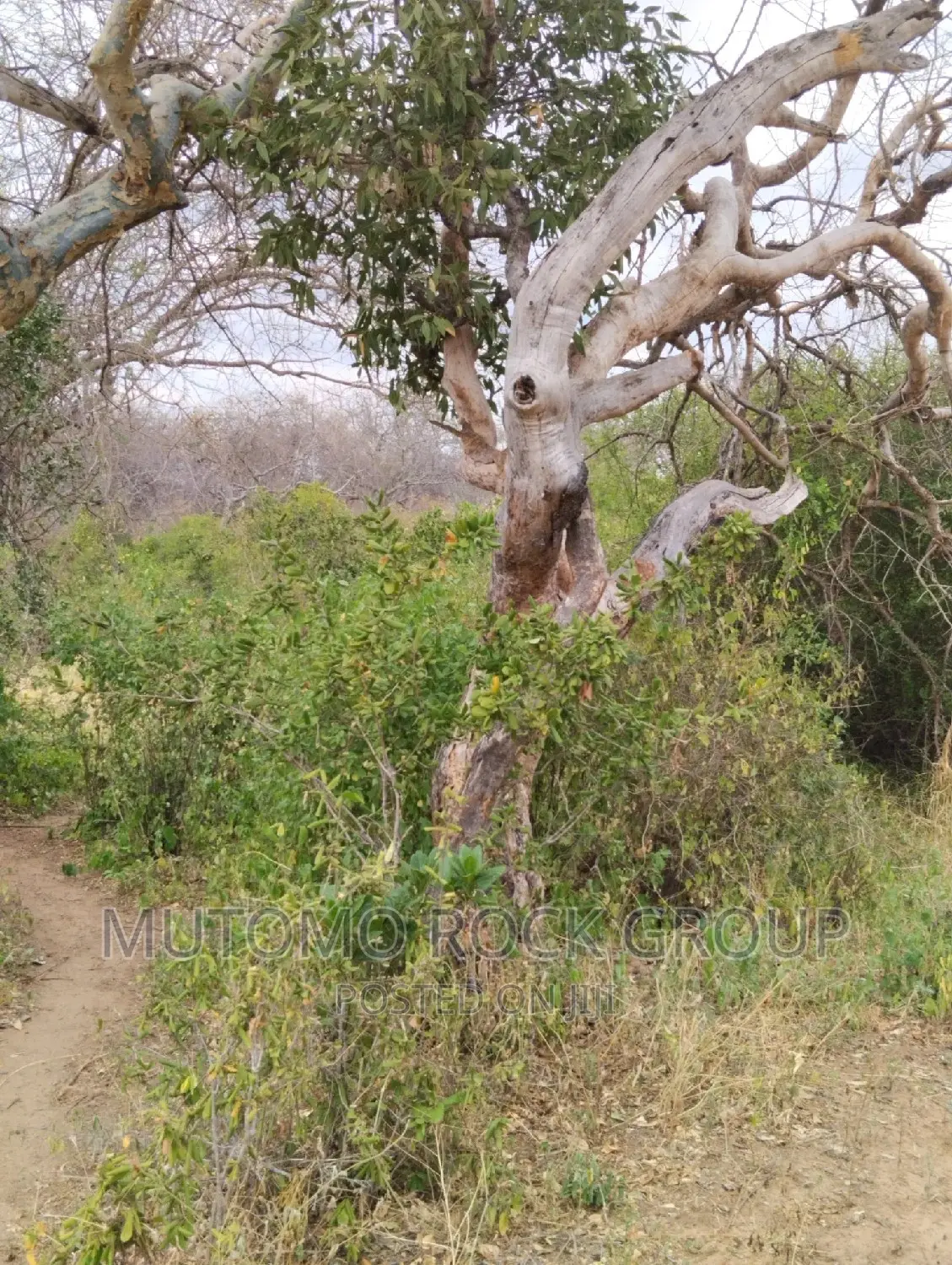 41 Acres For Sale in Mutomo
