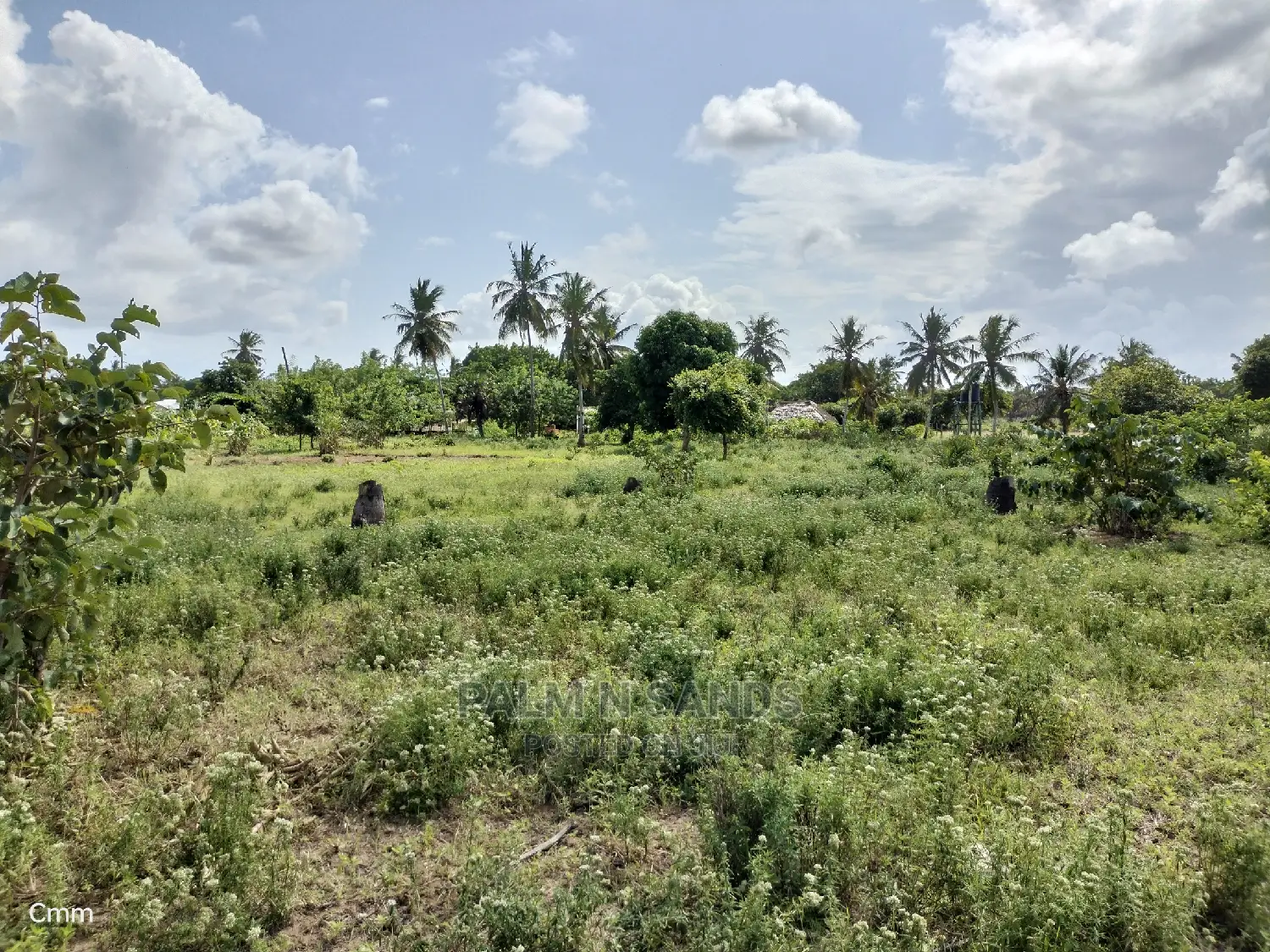 Kinondo's Ideal One-Acre Land: Real Estate Investment in Kinondo