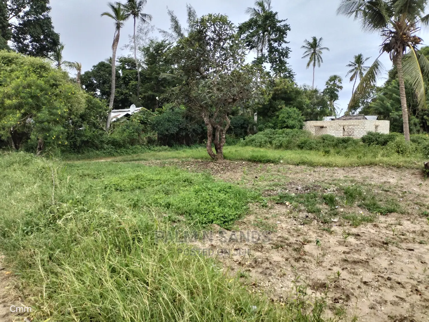 Kinondo's Ideal One-Acre Land: Real Estate Investment in Kinondo
