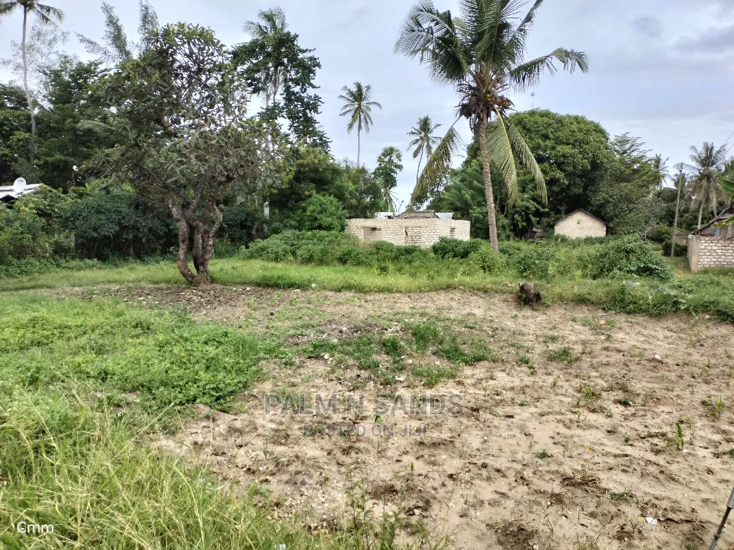 Kinondo's Ideal One-Acre Land: Real Estate Investment in Kinondo