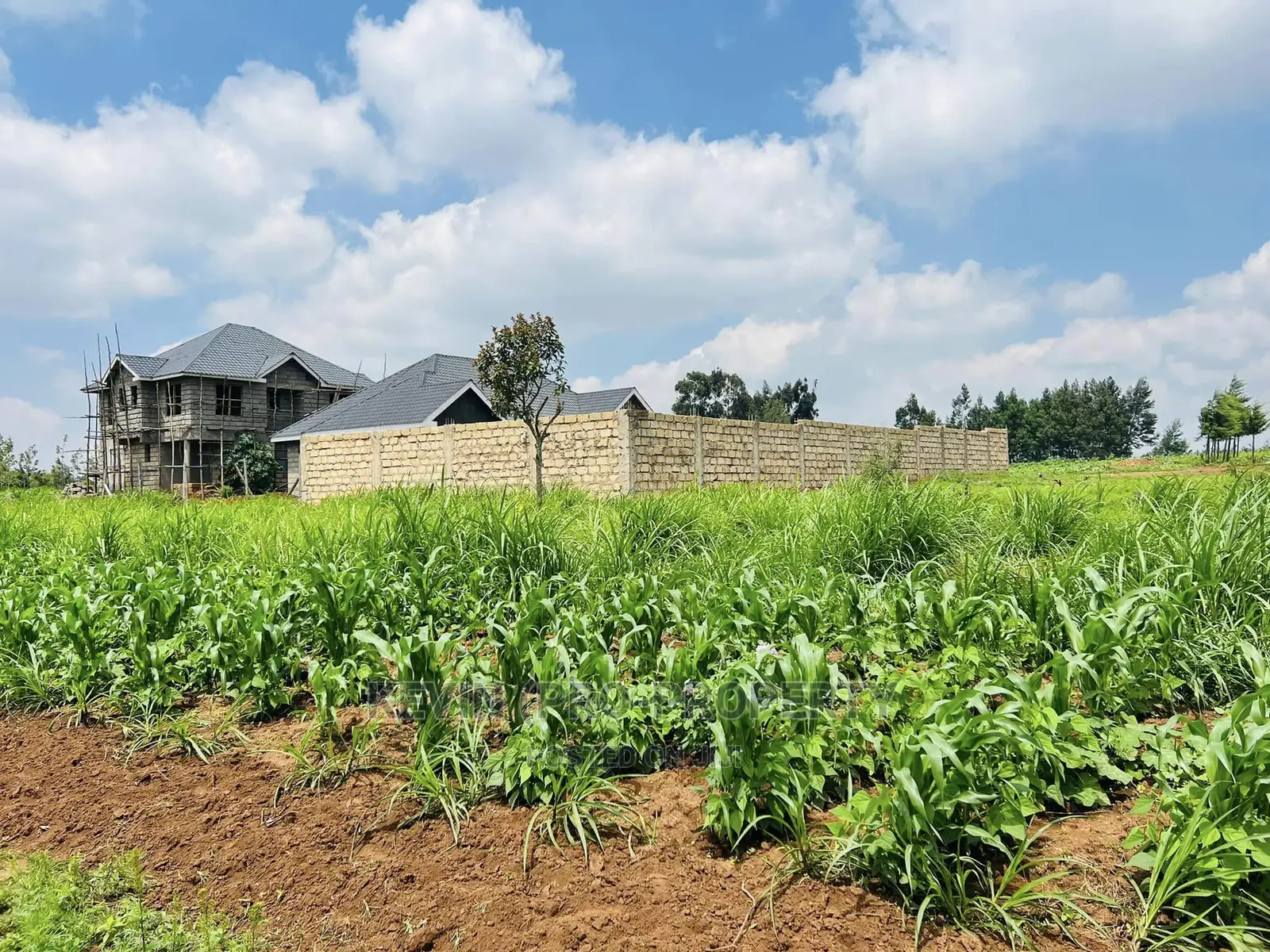 Kikuyu, Kamangu: Spacious 1/8 Acre Residential Plot for Sale in Karai