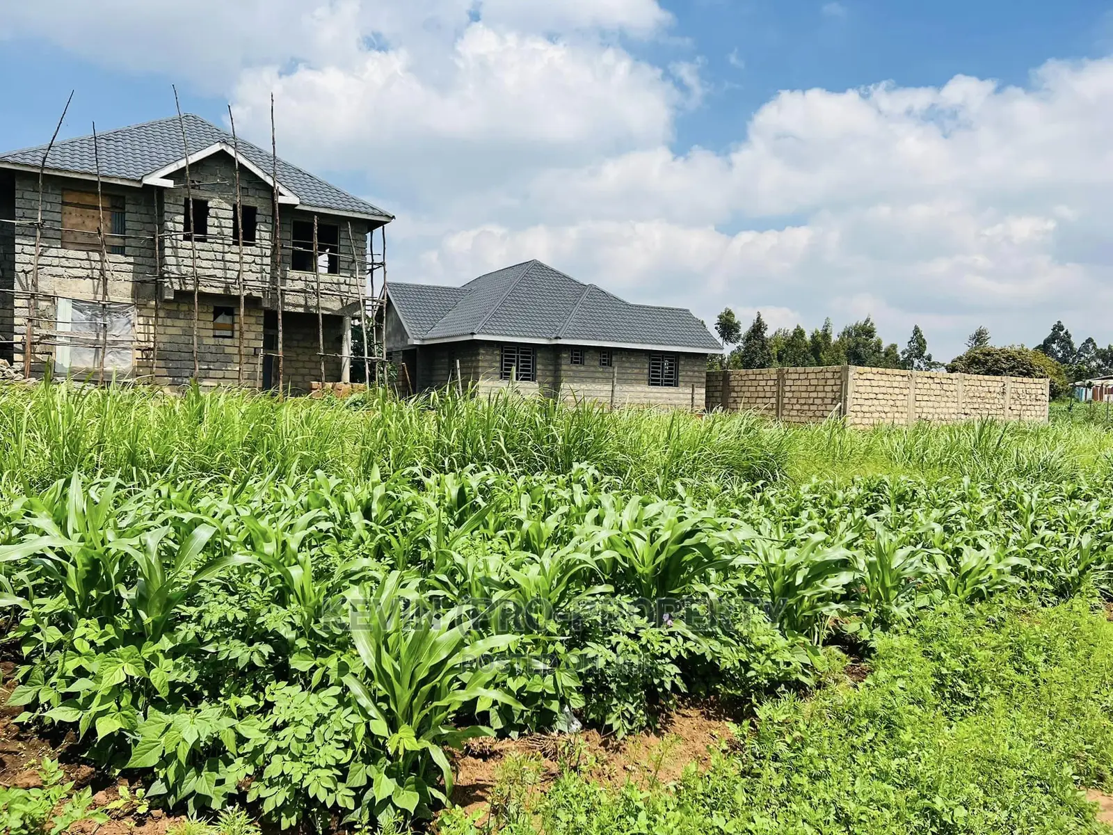Kikuyu, Kamangu: Spacious 1/8 Acre Residential Plot for Sale in Karai