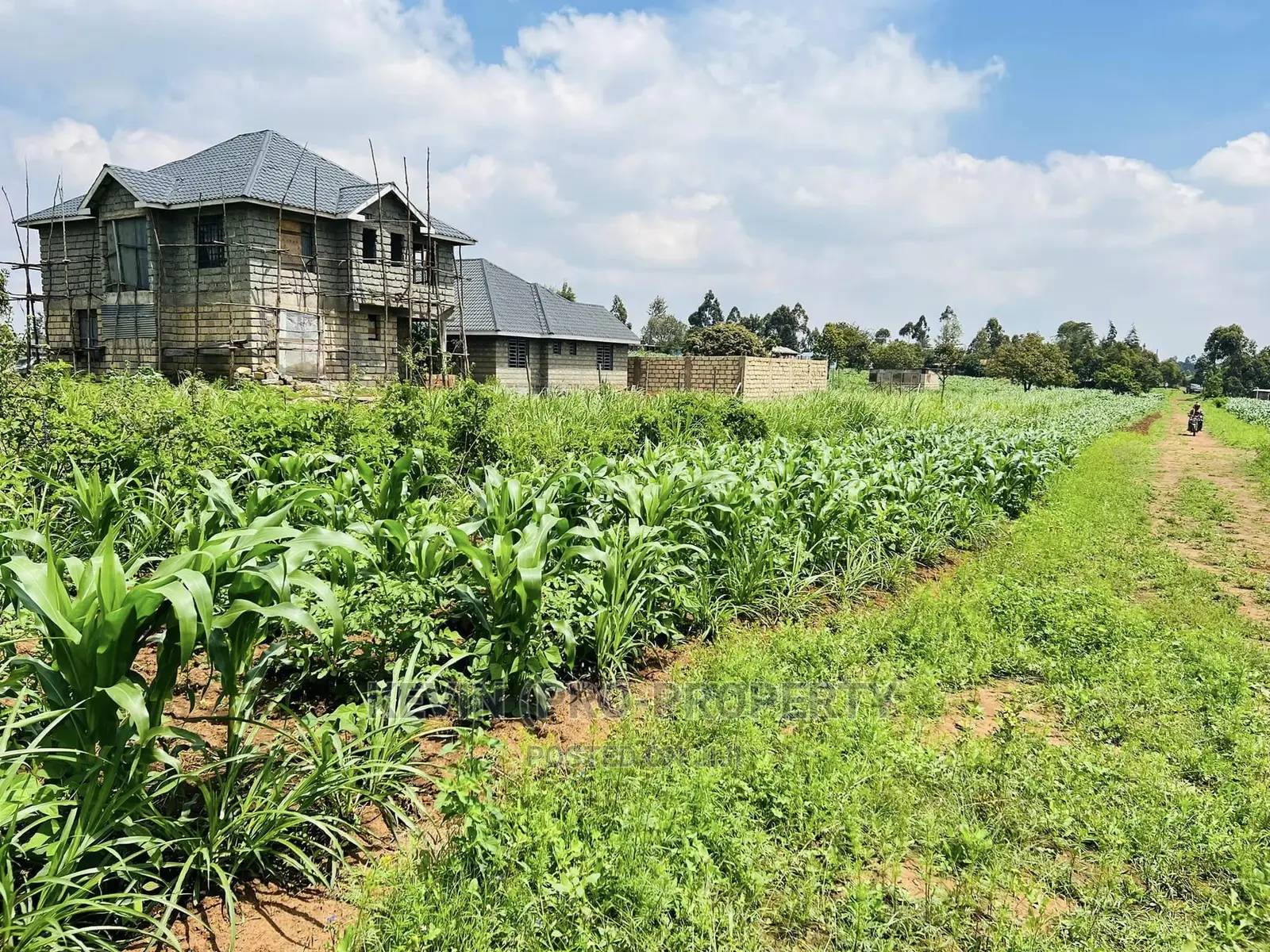 Kikuyu, Kamangu: Spacious 1/8 Acre Residential Plot for Sale in Karai