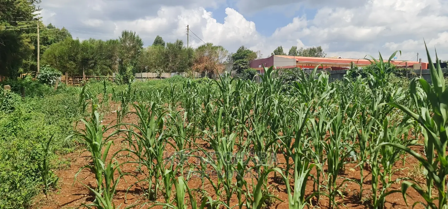 Affordable 1/4 Plot for Sale in Kimumu Shell, Eldoret in Kimumu