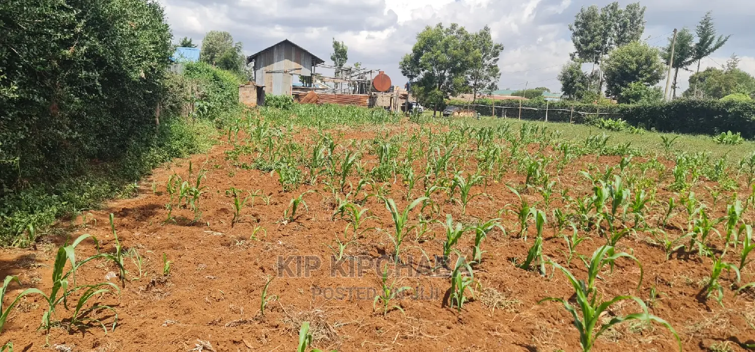 Affordable 1/4 Plot for Sale in Kimumu Shell, Eldoret in Kimumu