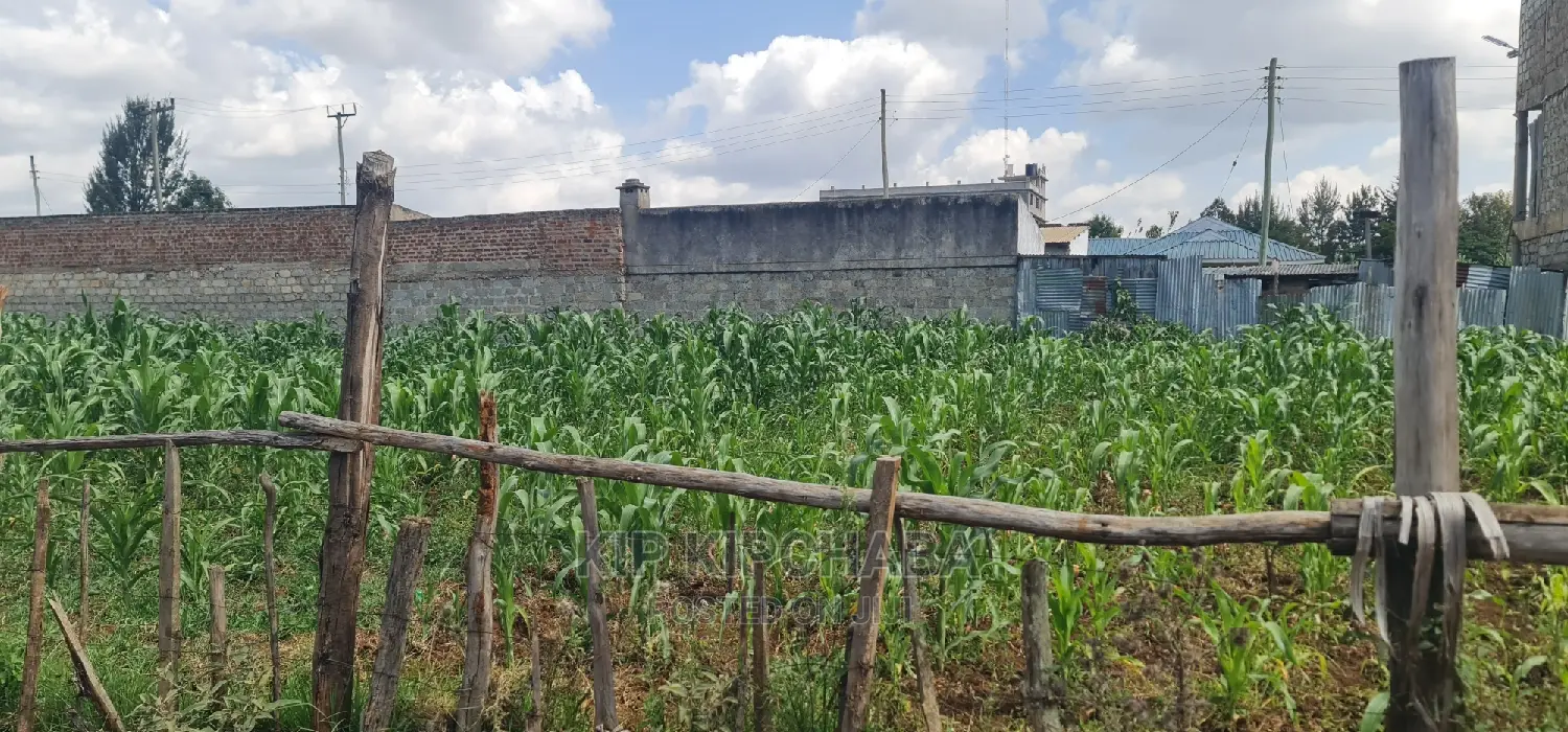 Affordable 1/4 Plot for Sale in Kimumu Shell, Eldoret in Kimumu