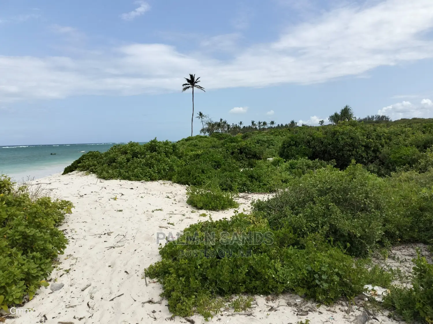 Beachfront 10-Acre Land - Undeveloped - Investment Opportunity in Ukunda