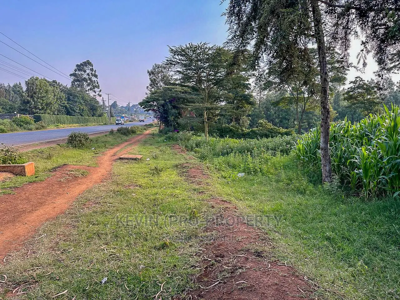 Half-Acre Plot on Tarmac Road in Exclusive Limuru in Ndeiya