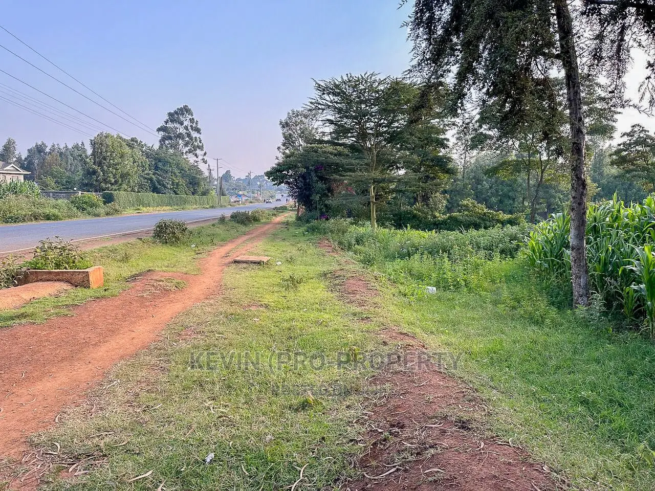 Half-Acre Plot on Tarmac Road in Exclusive Limuru in Ndeiya