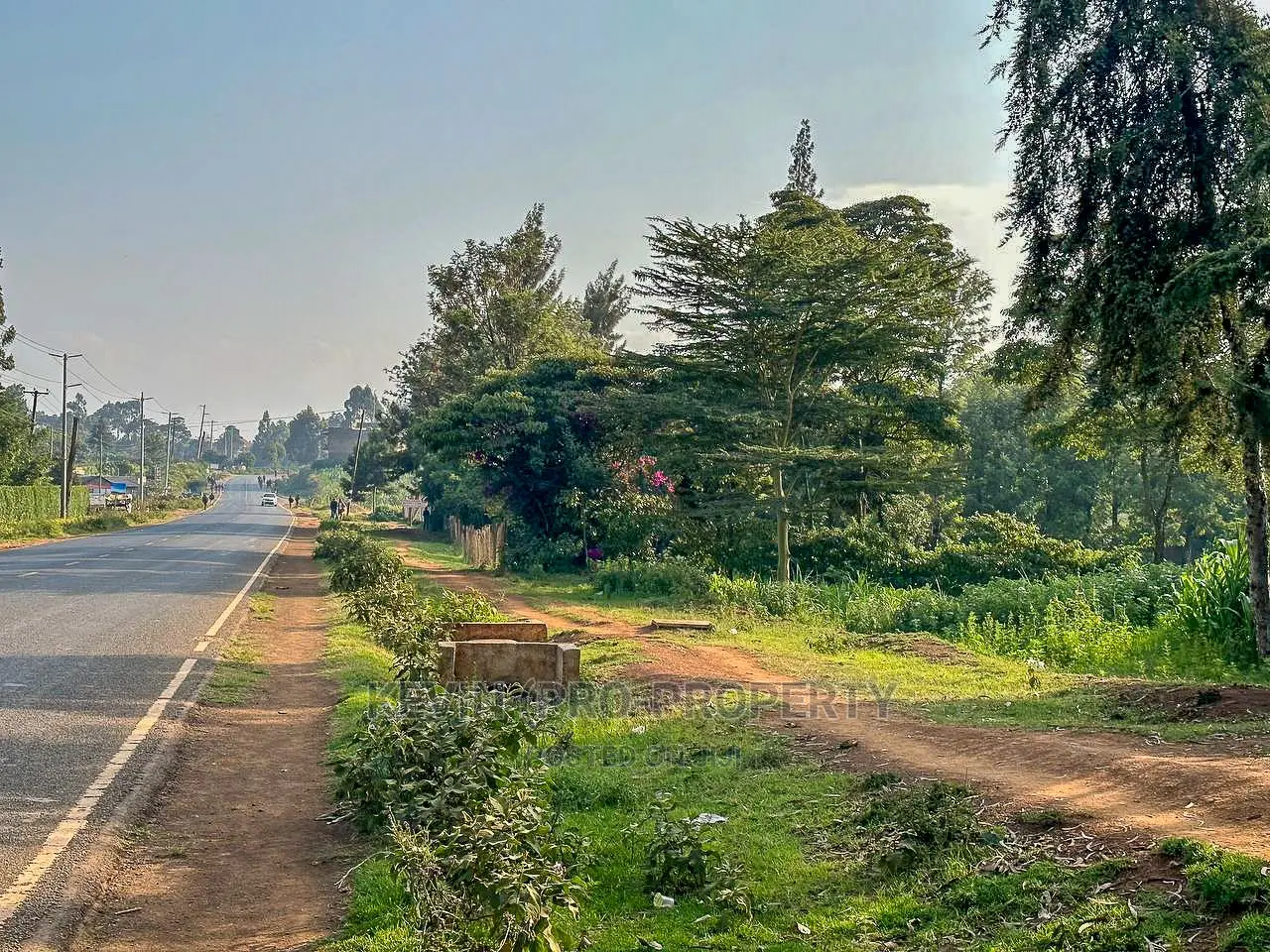Half-Acre Plot on Tarmac Road in Exclusive Limuru in Ndeiya
