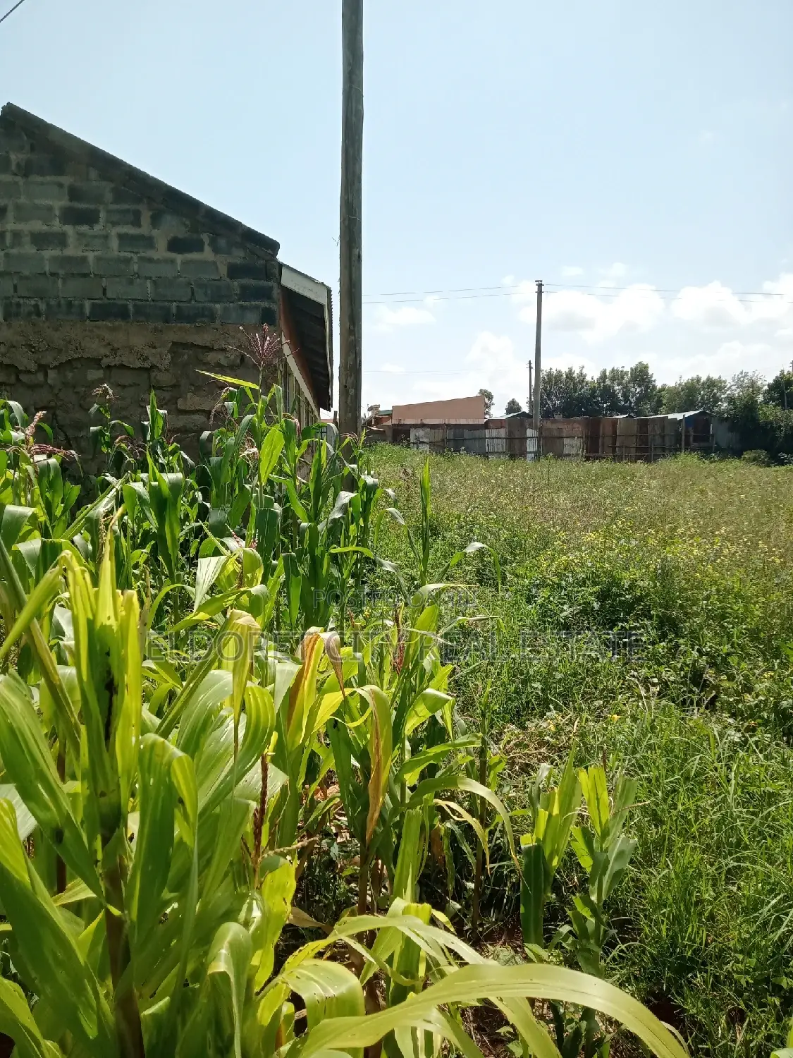 Prime 1/8 Plot in Betterfarm Kimumu: Close Proximity to Tarmac in Eldoret CBD