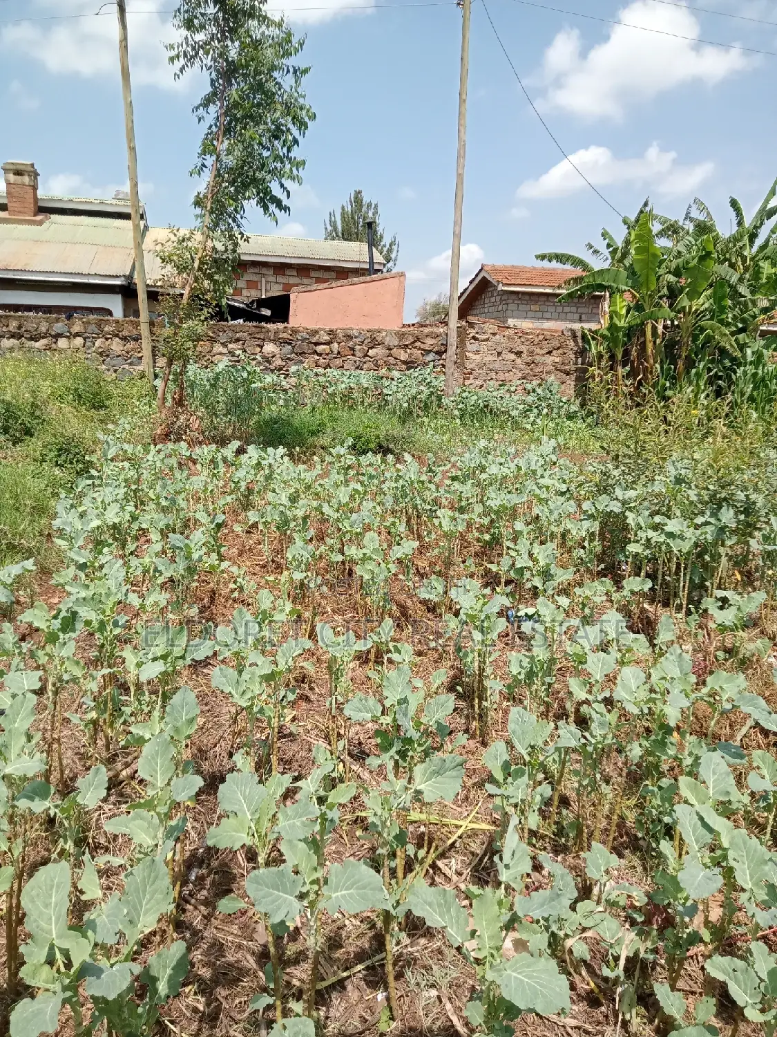 Prime 1/8 Plot in Betterfarm Kimumu: Close Proximity to Tarmac in Eldoret CBD