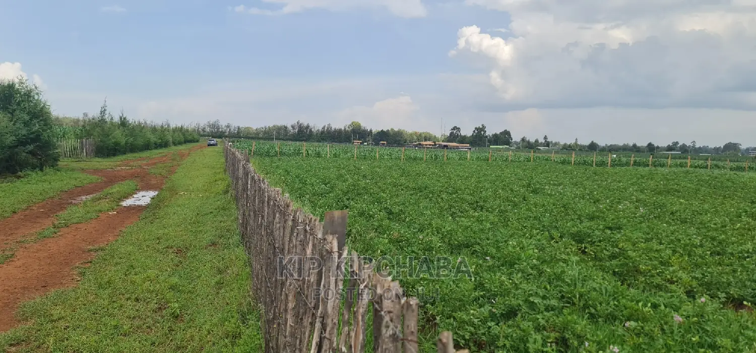 Affordable 1-Acre Plot for Sale in Kimumu Marura, Eldoret in Kimumu