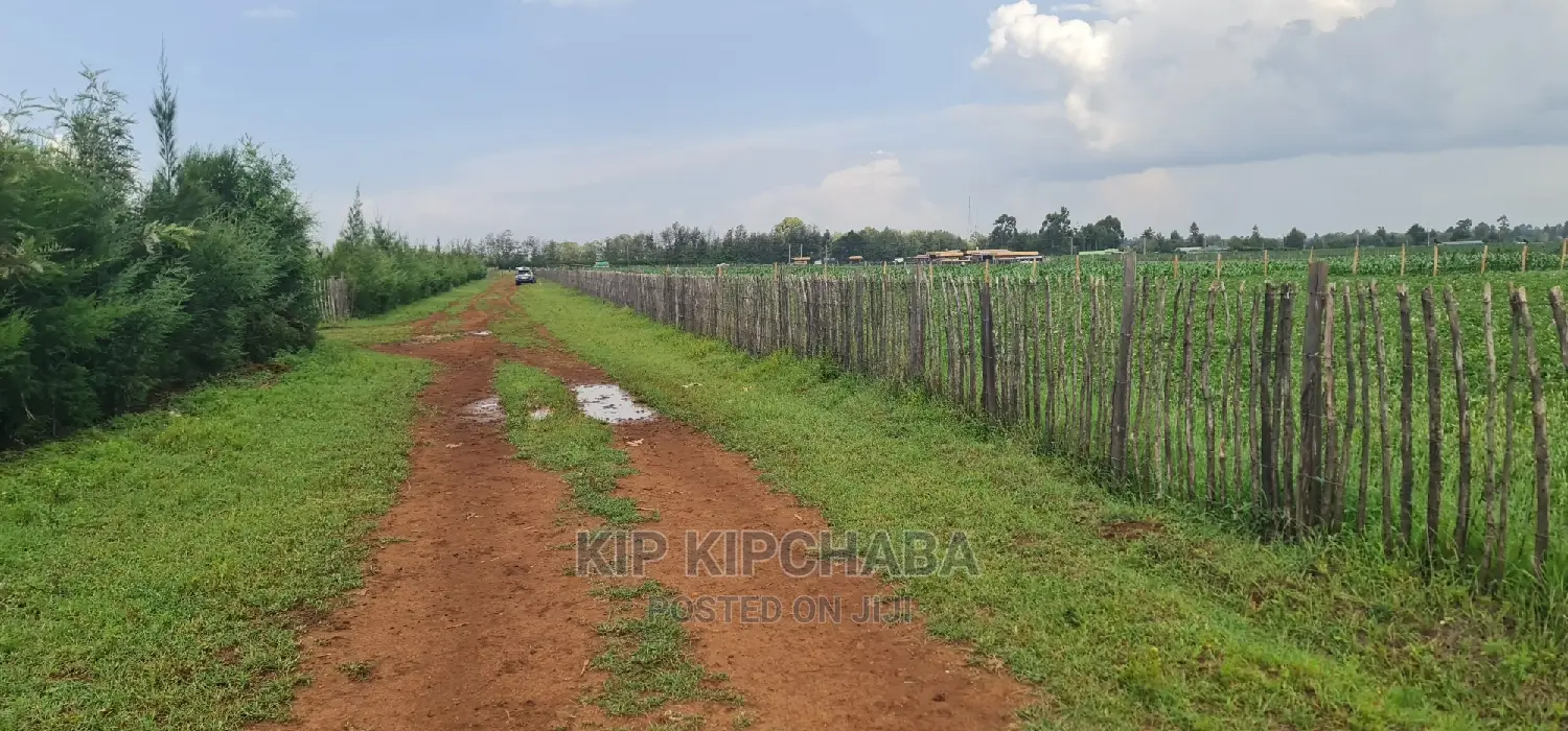 Affordable 1-Acre Plot for Sale in Kimumu Marura, Eldoret in Kimumu