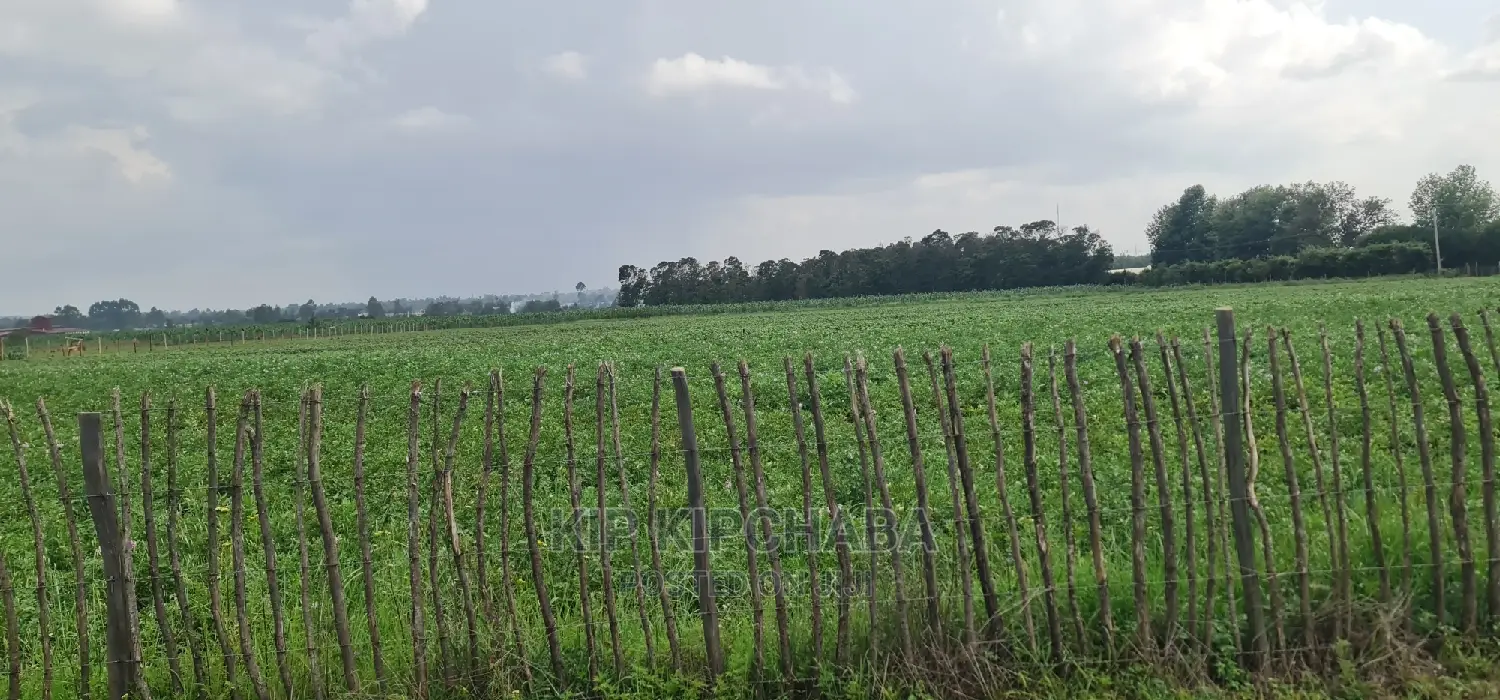 Affordable 1-Acre Plot for Sale in Kimumu Marura, Eldoret in Kimumu