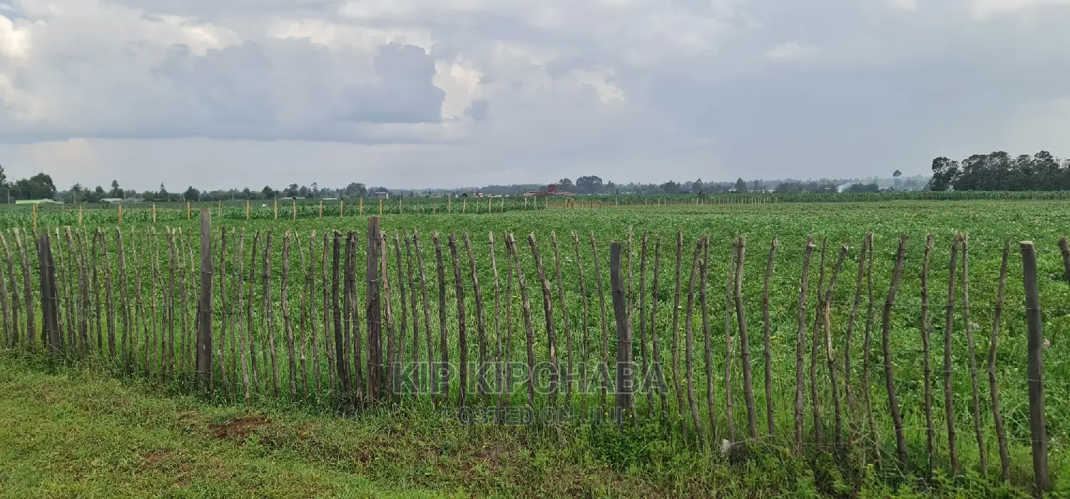 Affordable 1-Acre Plot for Sale in Kimumu Marura, Eldoret in Kimumu
