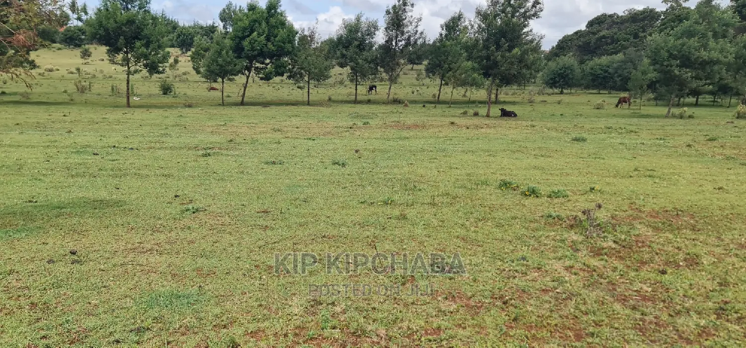 Prime 35-Acre Land for Sale in Marura, Near Kimumu, Eldoret in Kimumu
