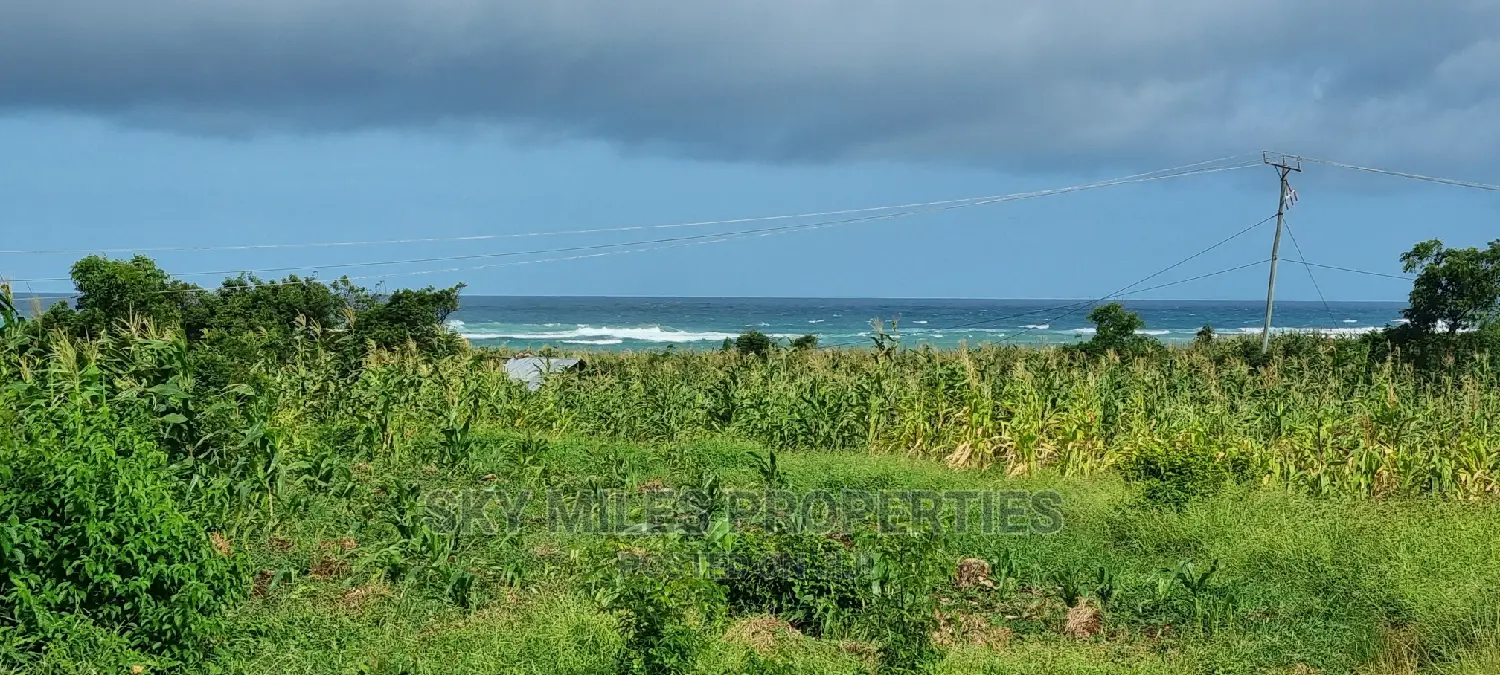 Kikambala Beachfront Land - 2.5 Acres, Second Row from the Ocean for Sale in Kikambala