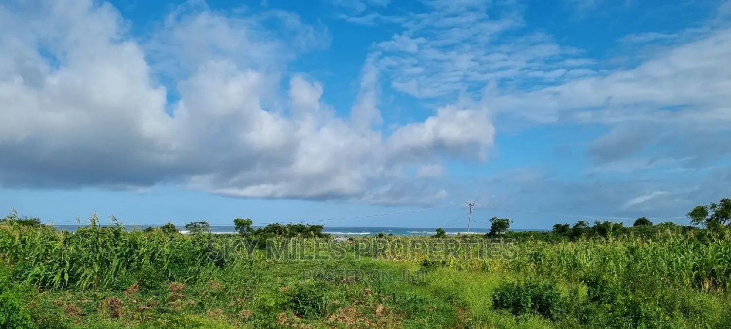 Kikambala Beachfront Land - 2.5 Acres, Second Row from the Ocean for Sale in Kikambala
