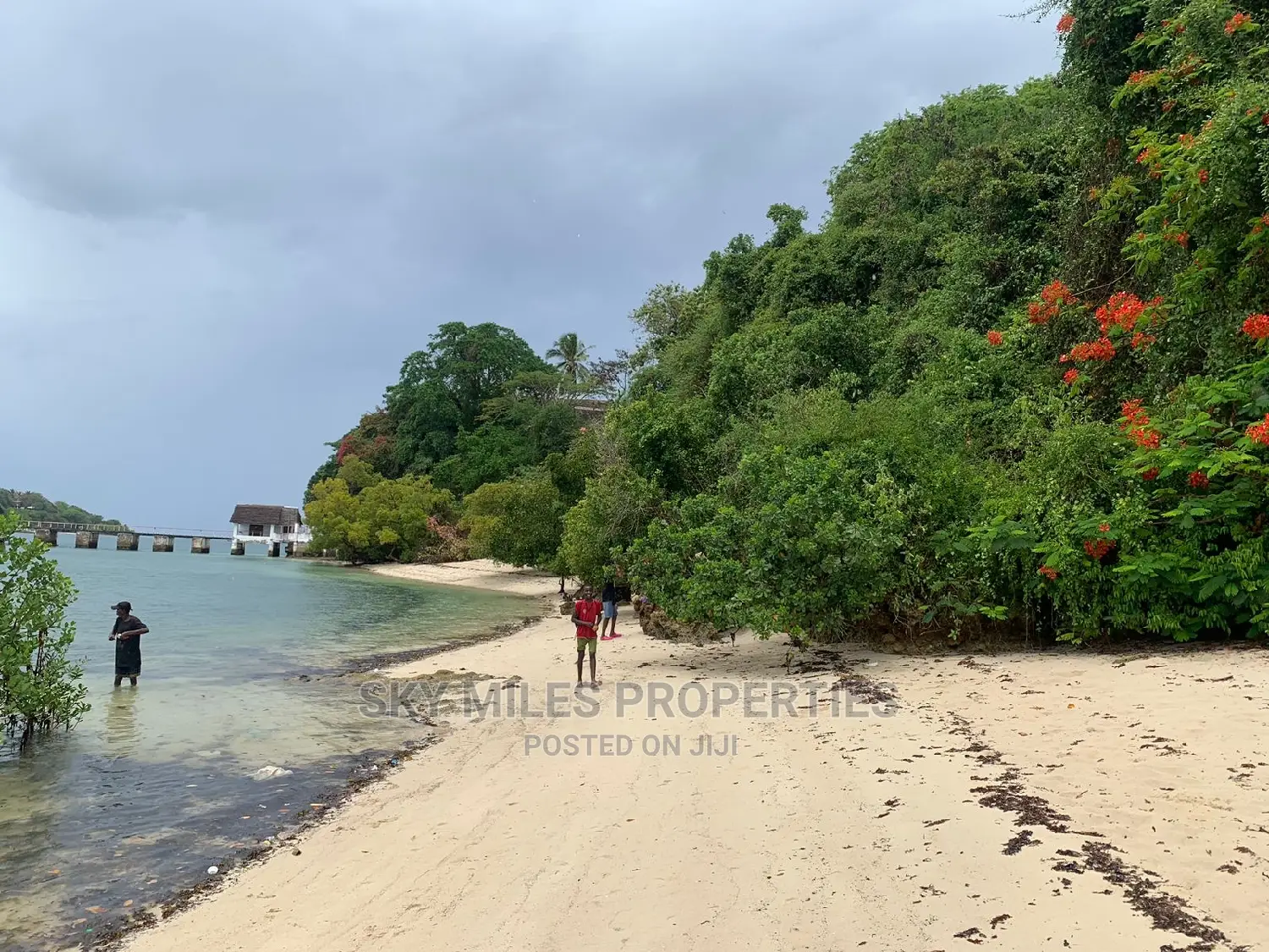 Exclusive Beach Property in Kilifi Mnarani Available Now in Kilifi Town