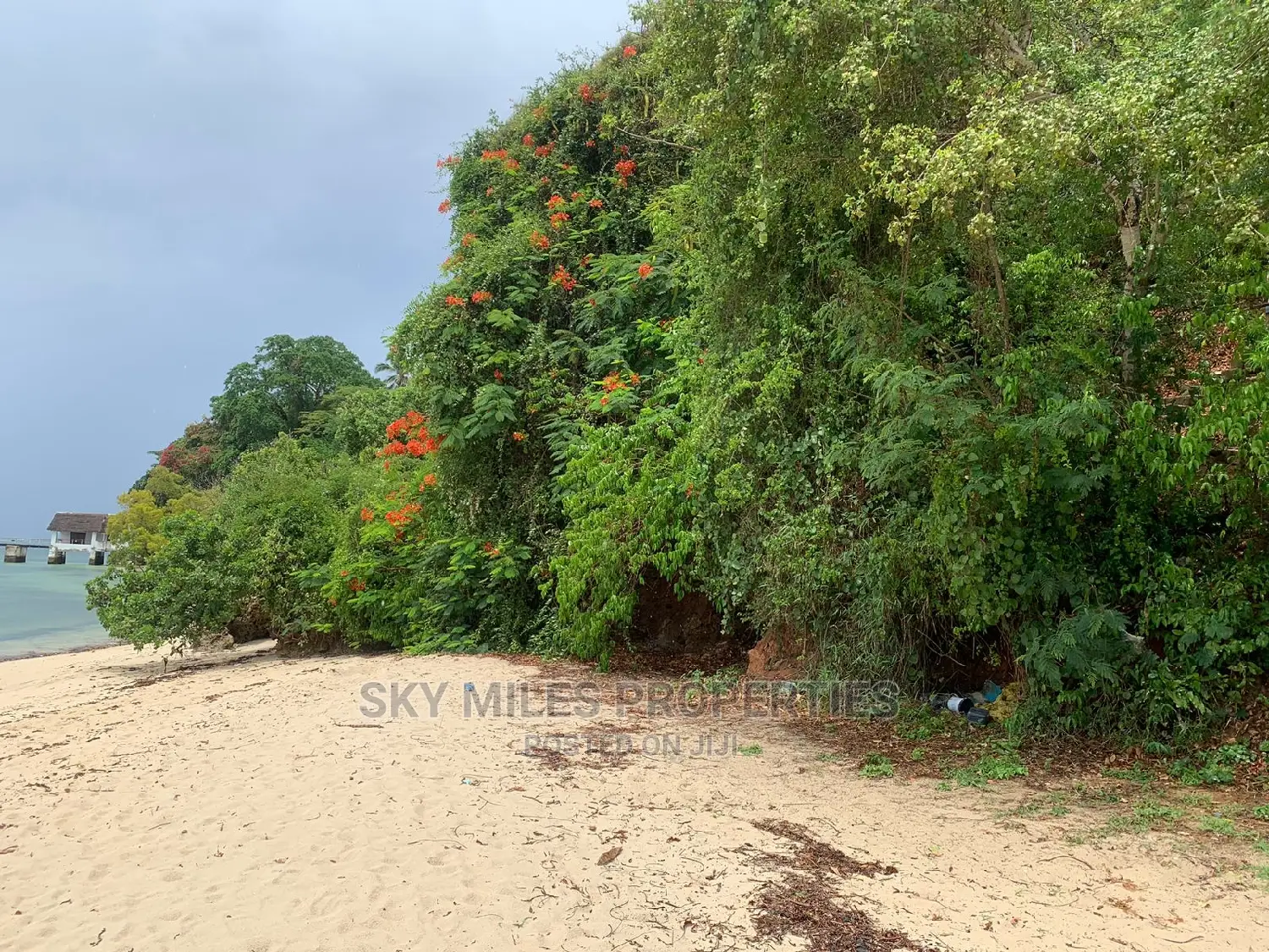 Exclusive Beach Property in Kilifi Mnarani Available Now in Kilifi Town