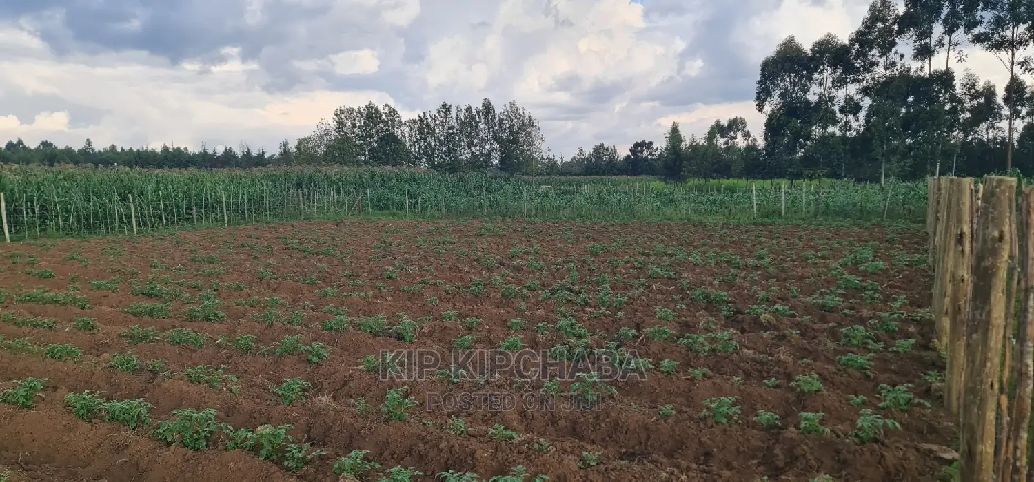 Affordable 1/4 Acre Plot for Sale in Royalton Annex, Eldoret in Racecourse