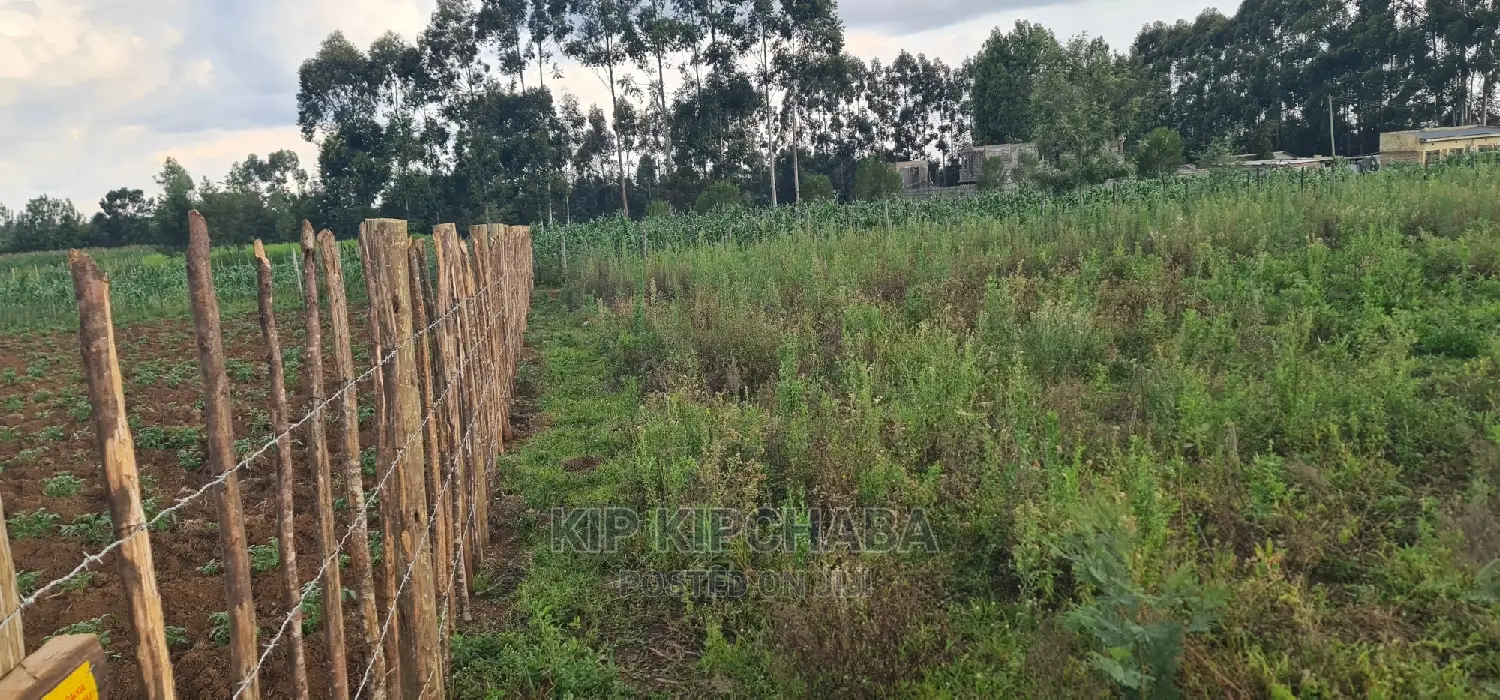 Affordable 1/4 Acre Plot for Sale in Royalton Annex, Eldoret in Racecourse