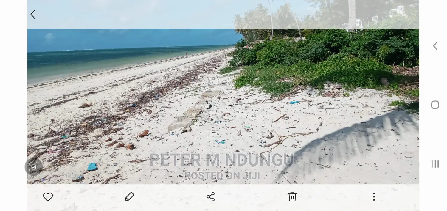 9-Acre Waterfront Property: Sandy Beach - Kikambala - For Sale in Kikambala