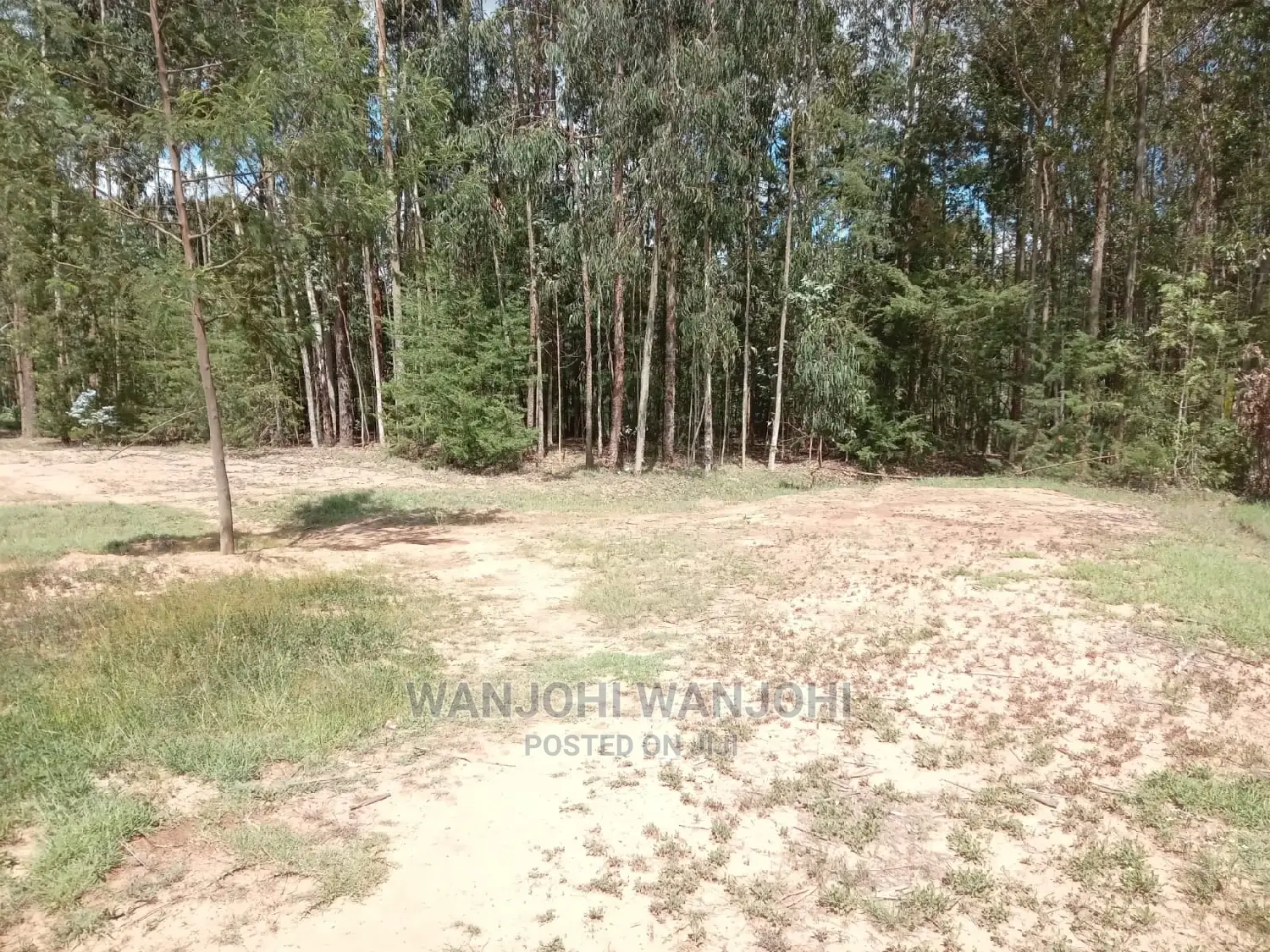 Buy Land in Oljoroorok, Nyandarua County - Prime Location! in Gatimu
