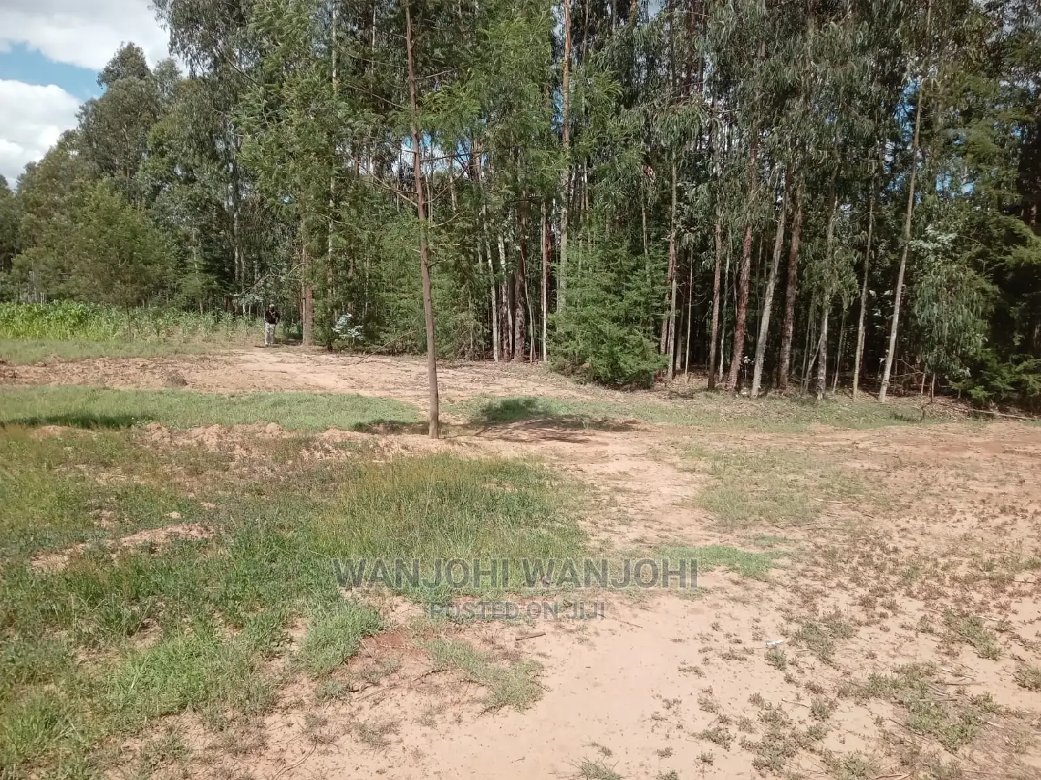 Buy Land in Oljoroorok, Nyandarua County - Prime Location! in Gatimu