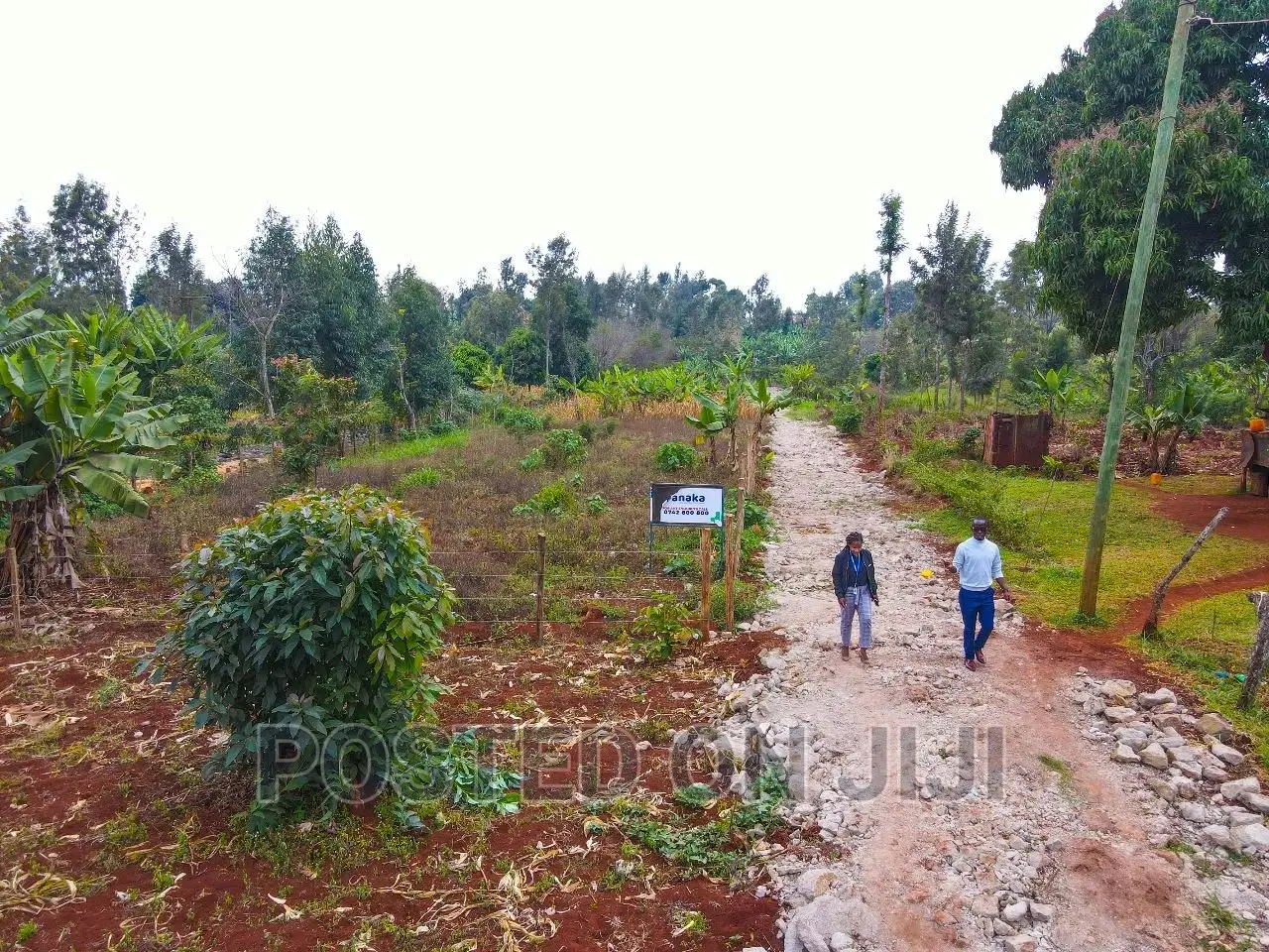 Red Soil Plots in Kimunyu ^CM in Ruiru