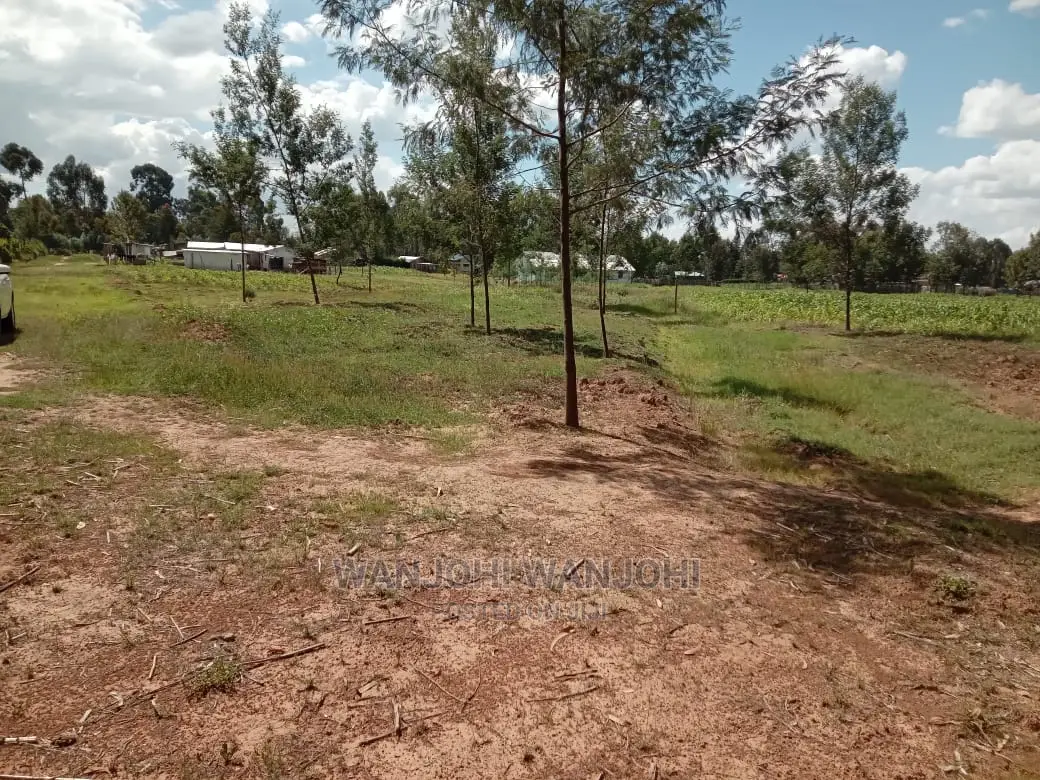 50x100 Prime Plot - Excellent Investment Opportunity in Karau