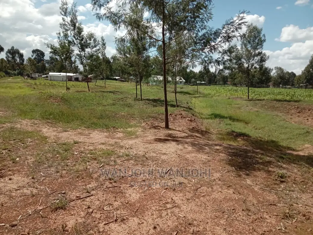 50x100 Prime Plot - Excellent Investment Opportunity in Karau