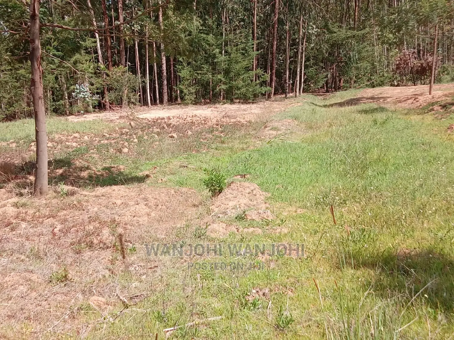 Invest in Prime Oljoroorok Land Plots - Secure Your Future! in Nakuru Town West
