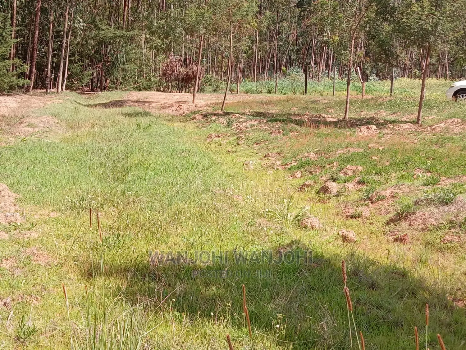 Invest in Prime Oljoroorok Land Plots - Secure Your Future! in Nakuru Town West