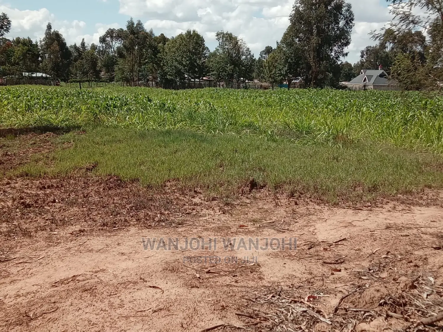 Invest in Prime Oljoroorok Land Plots - Secure Your Future! in Nakuru Town West