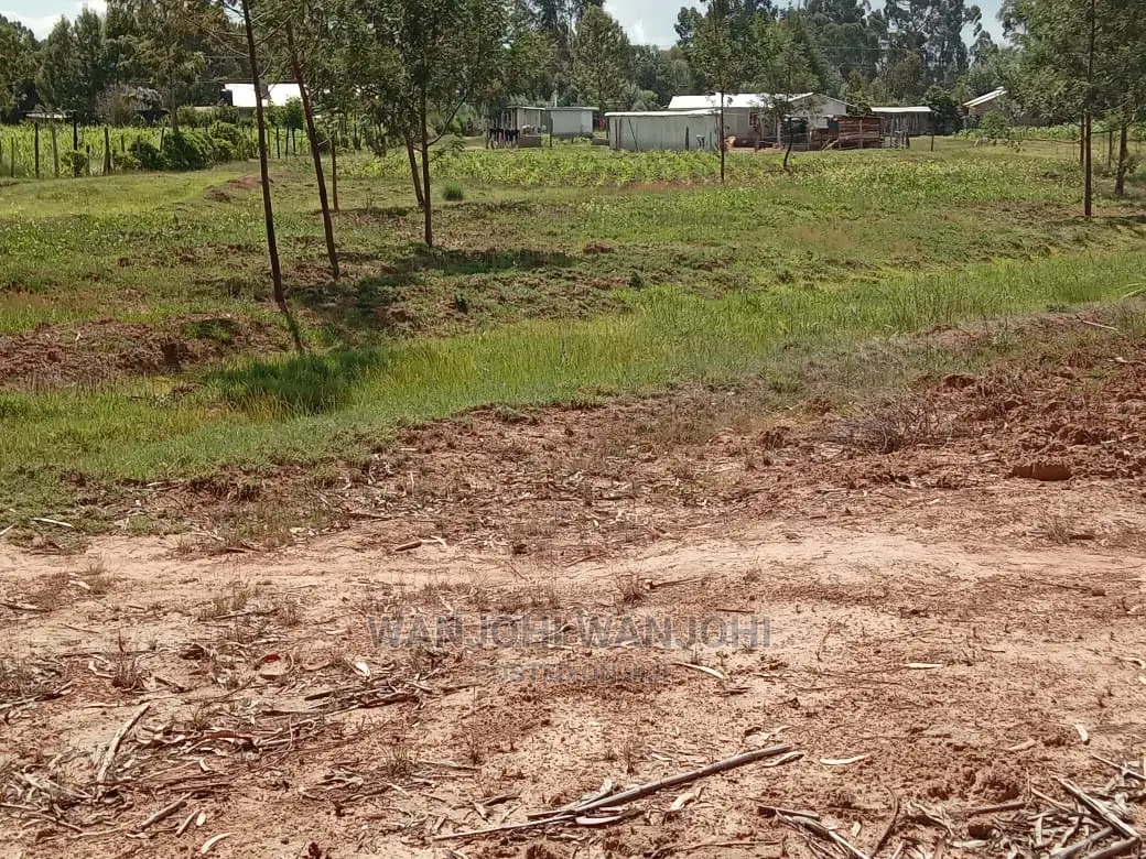 Unbeatable Plots in Nyandarua: Seize Your Dream Land Today in Nakuru Town West