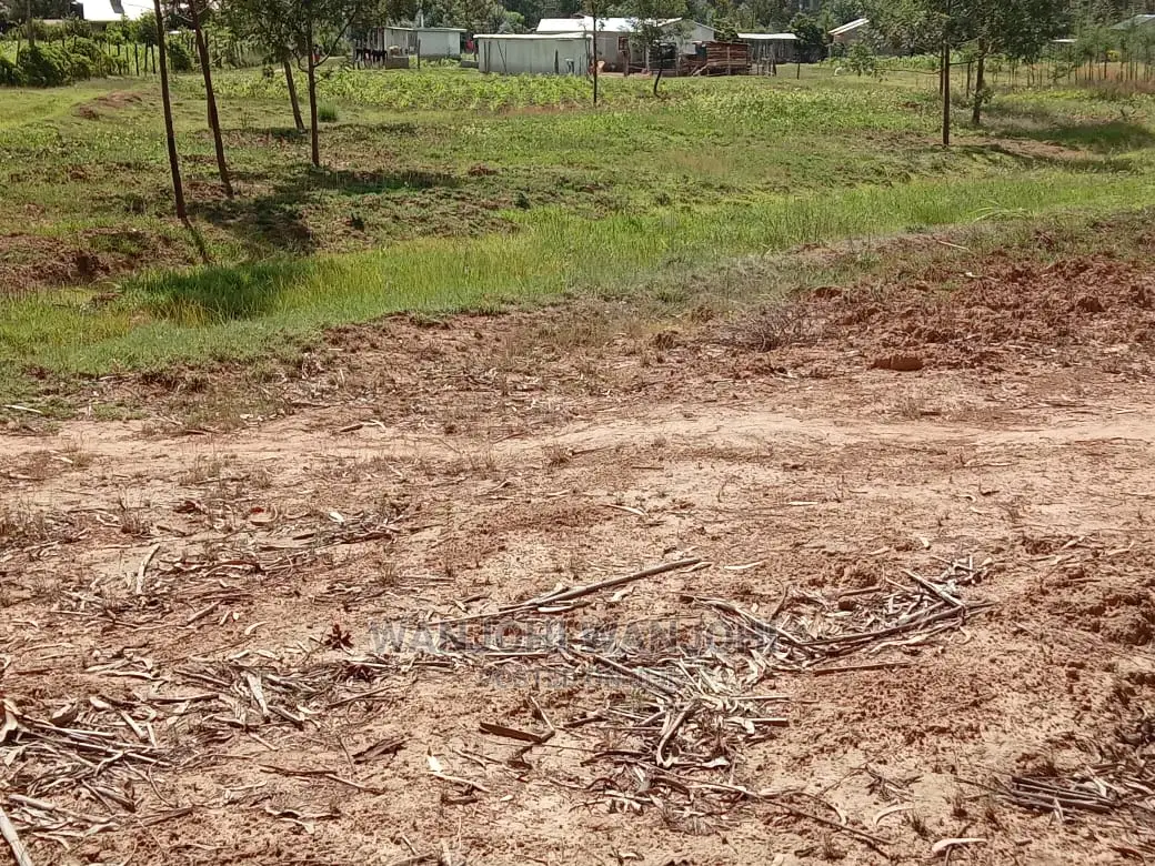 Unbeatable Plots in Nyandarua: Seize Your Dream Land Today in Nakuru Town West