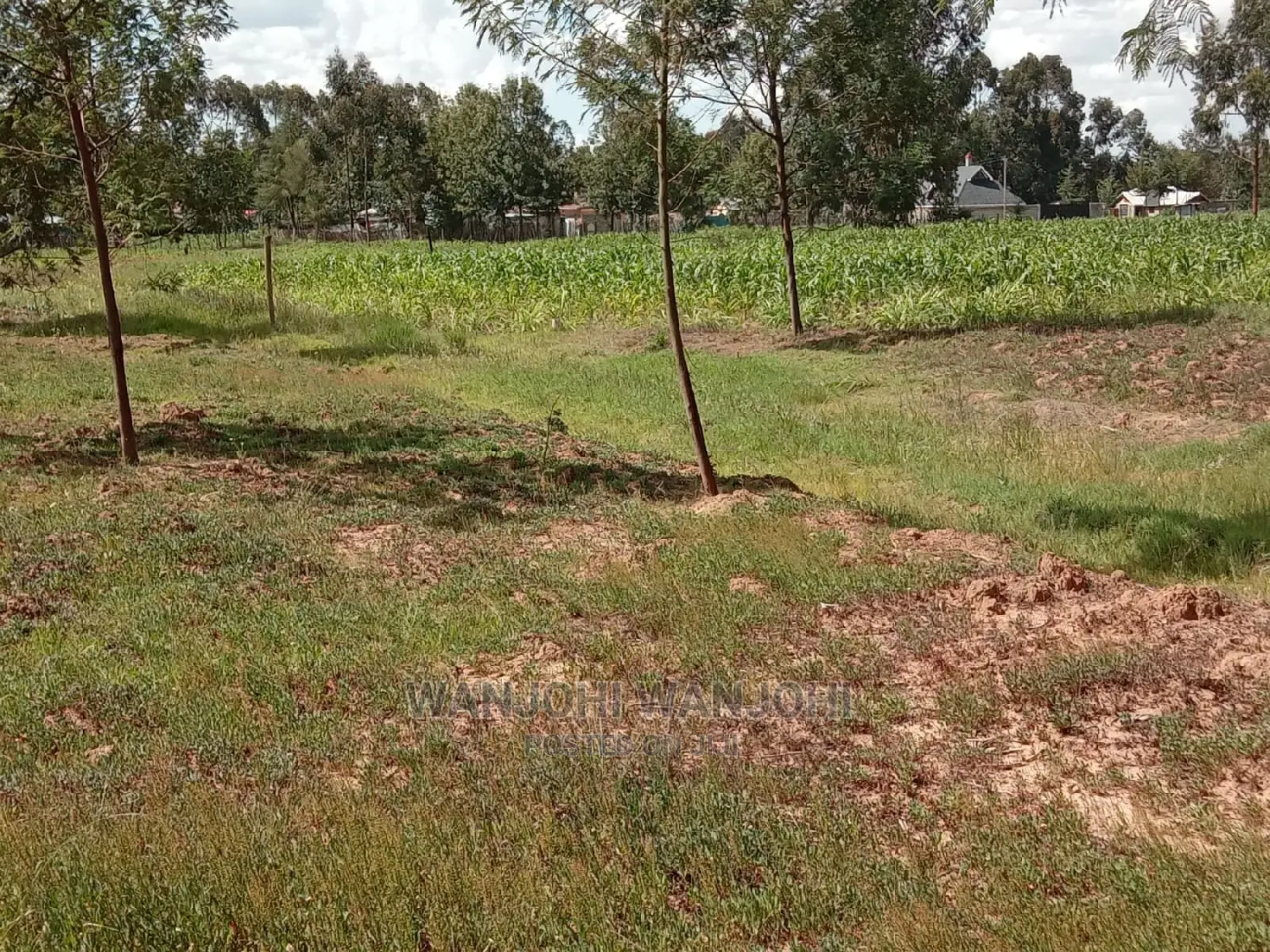 Affordable Land Plots: Top Deals Guaranteed! in Nyeri Town