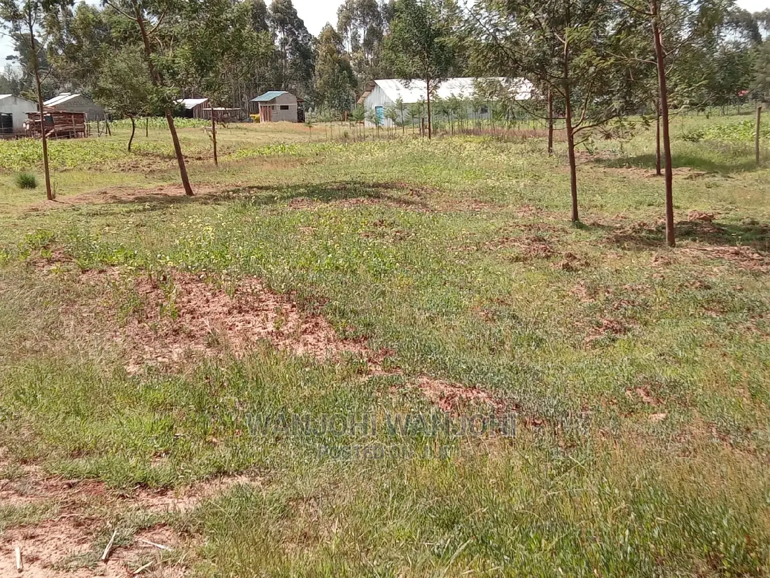 Affordable Land Plots: Top Deals Guaranteed! in Nyeri Town