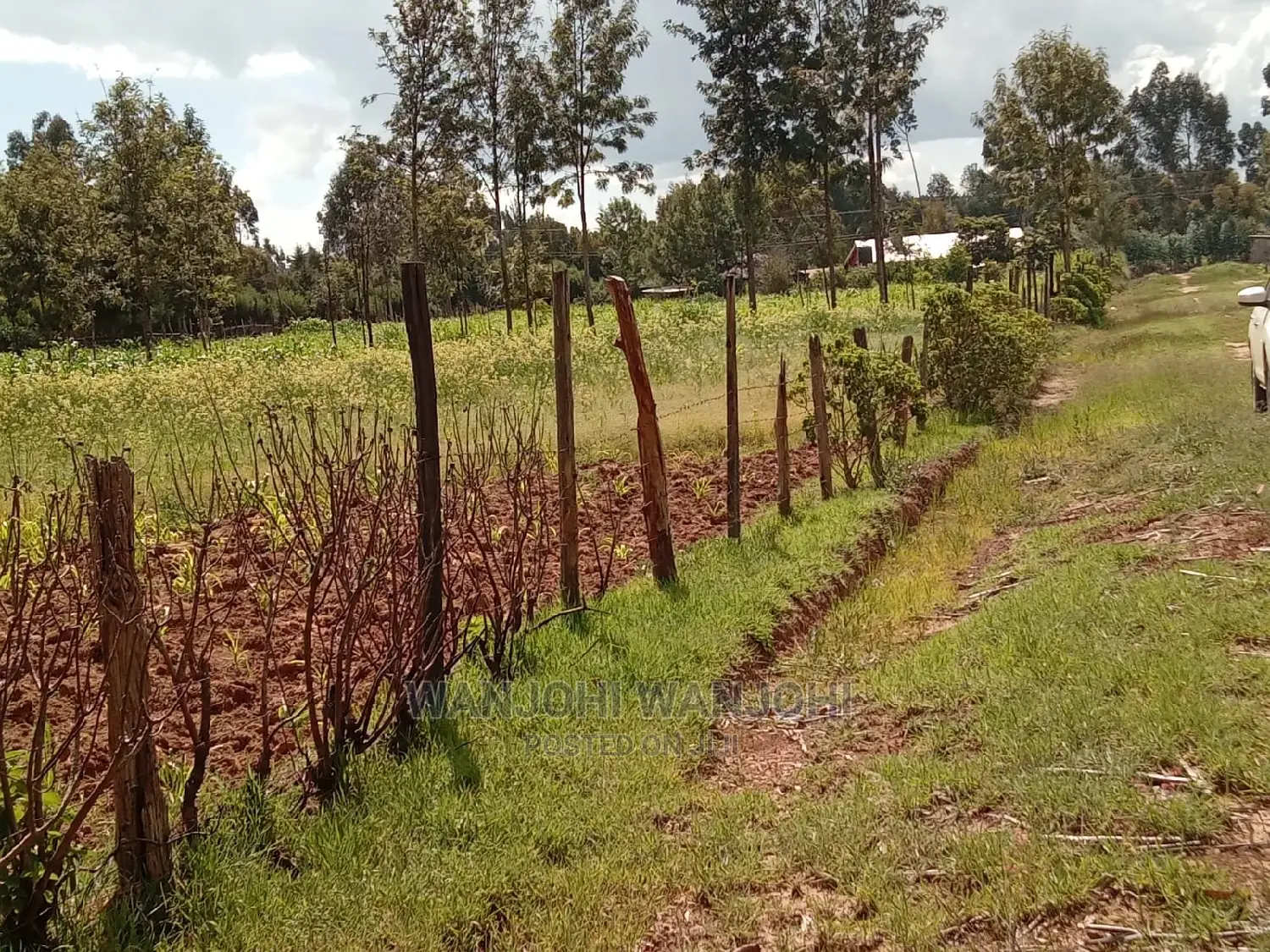 Affordable Land Plots: Top Deals Guaranteed! in Nyeri Town
