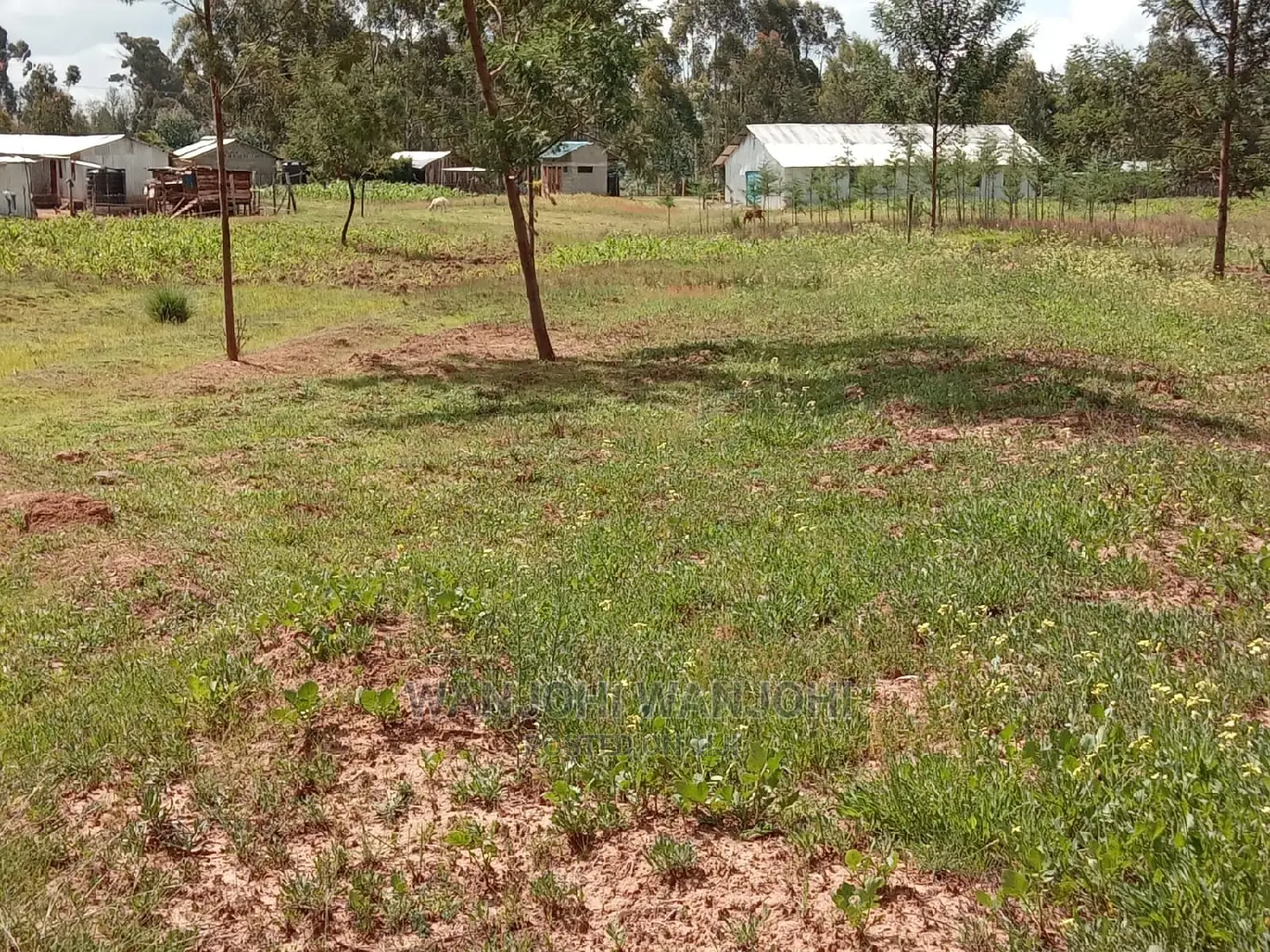 Ideal 50x100 Plots Near Tarmac in Nyandarua for Investment in Thika