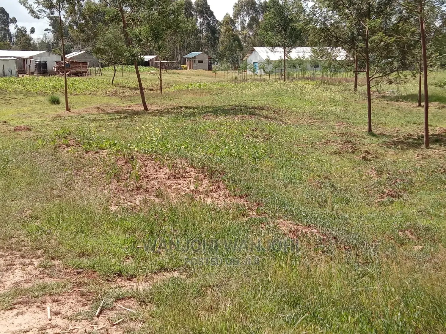 Ideal 50x100 Plots Near Tarmac in Nyandarua for Investment in Thika