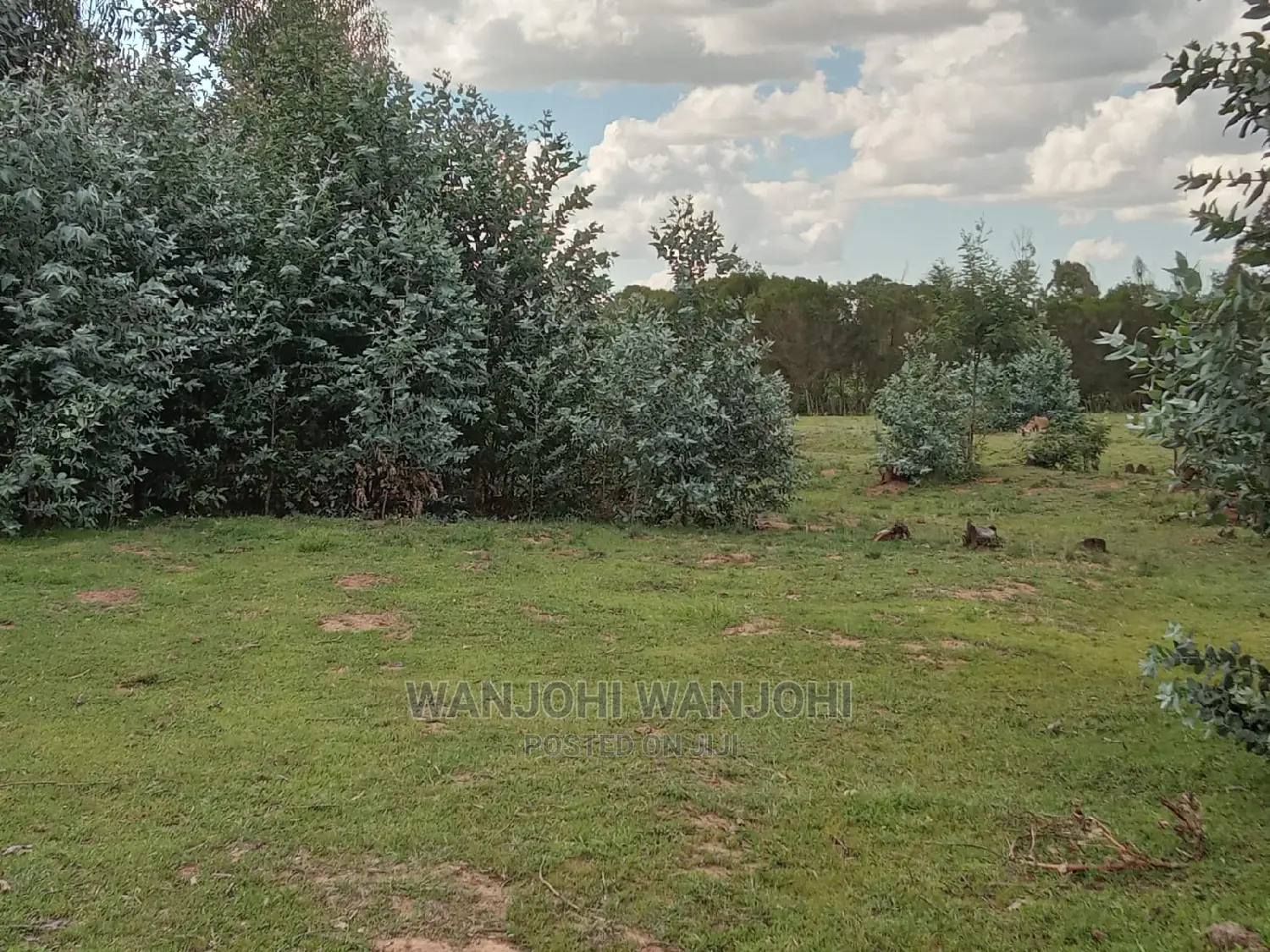 Prime Real Estate in Kasuku, Nyandarua - Seize the Opportunity! in Gatimu