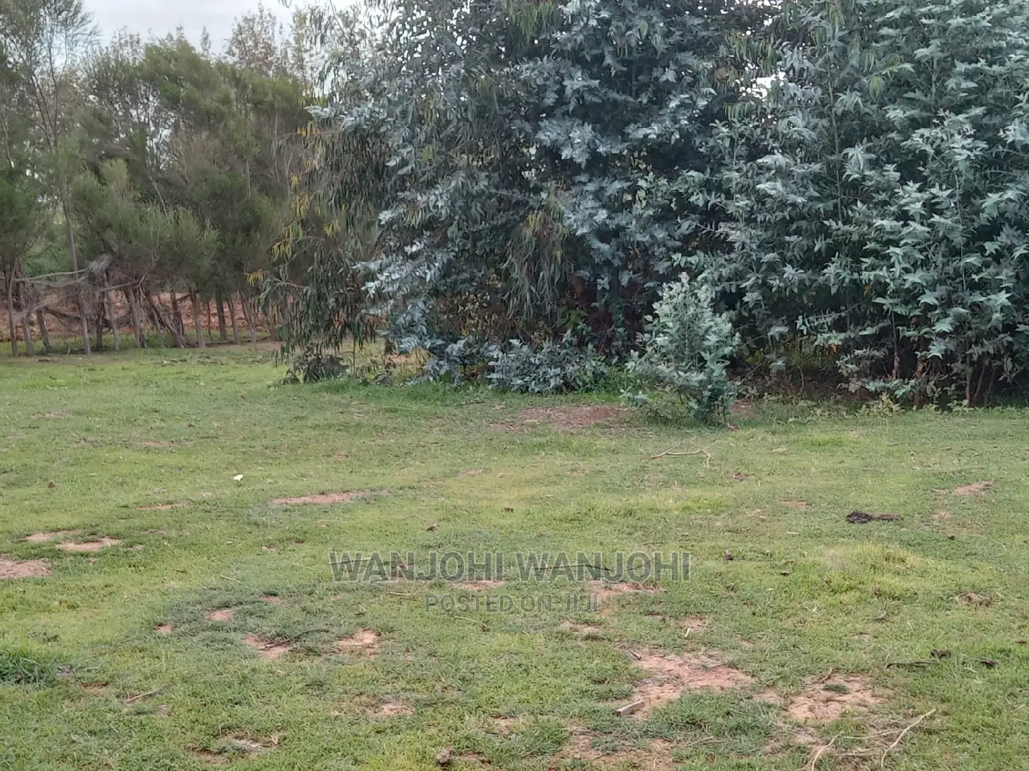 Kasuku, Nyandarua County: Quality Land for Sale - Top Choices in Nyahururu